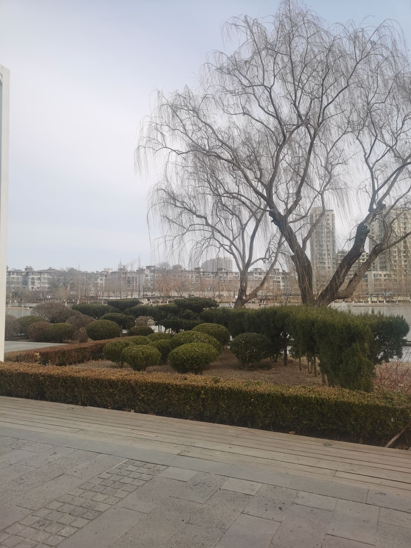 向应公园旅行图片 3