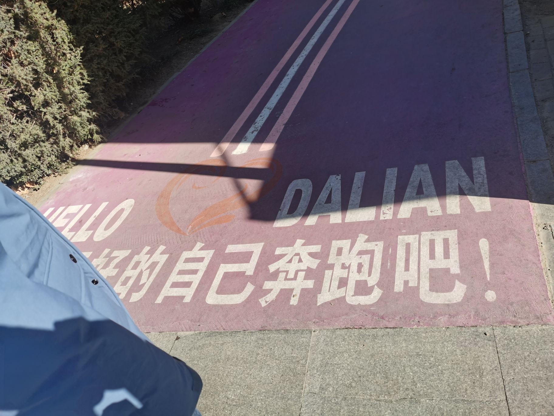 中山公园旅行图片 1