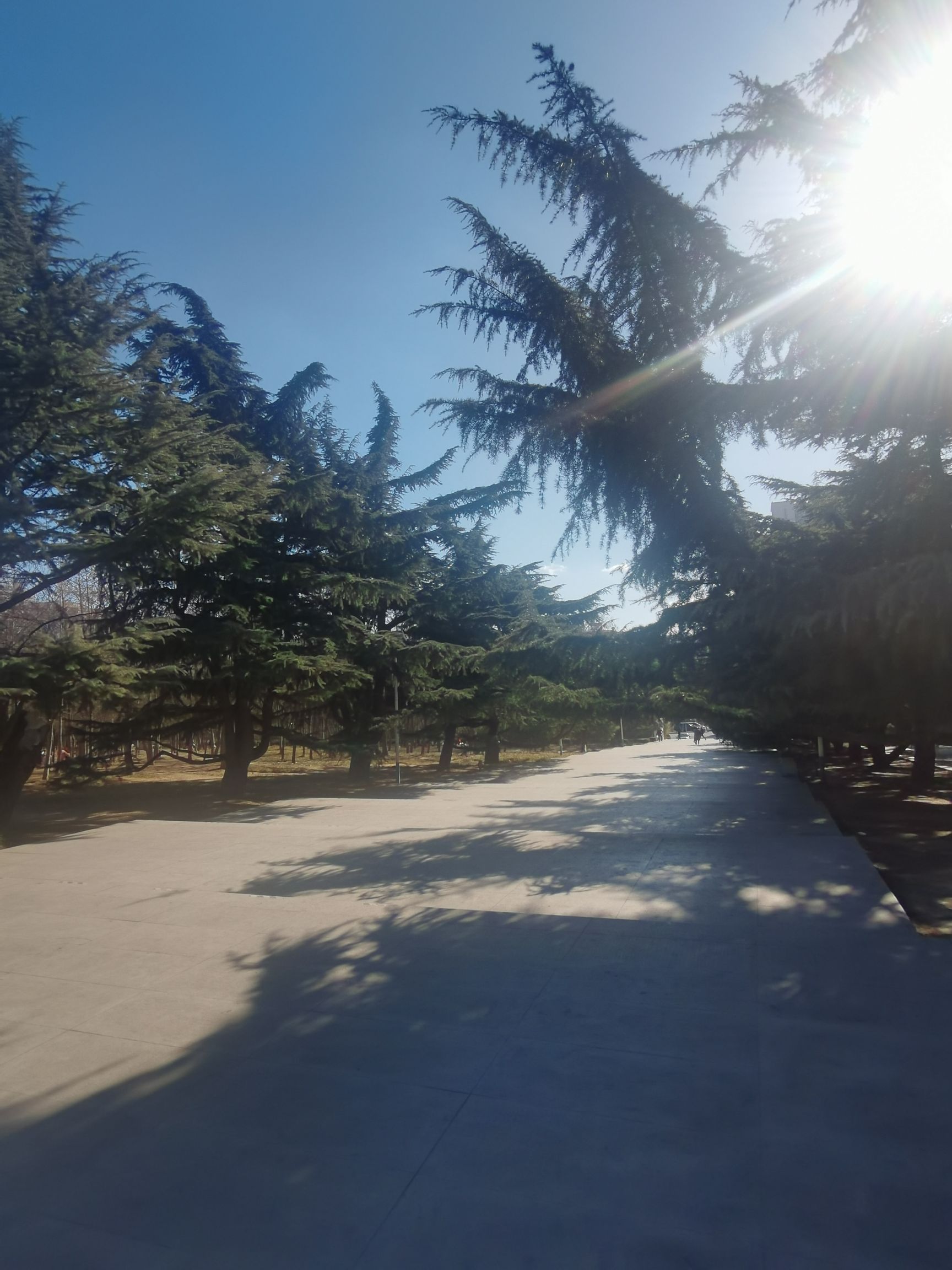 中山公园旅行图片 2