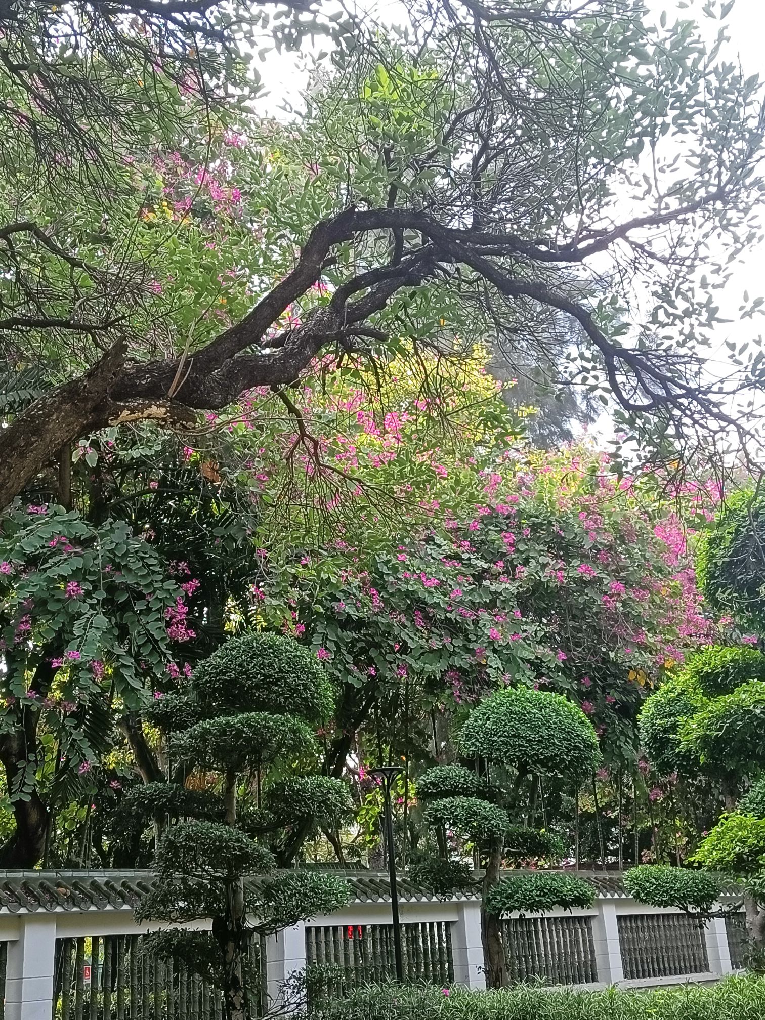 澄海人民公园旅行图片 3