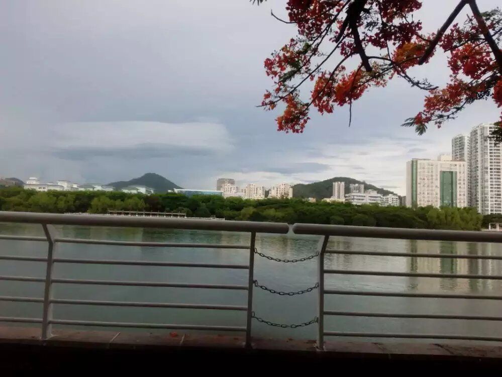 三亚东岸湿地公园旅行图片 3