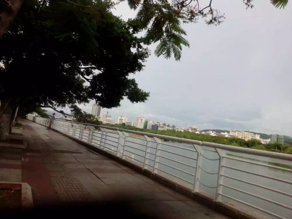 三亚东岸湿地公园旅行图片 2