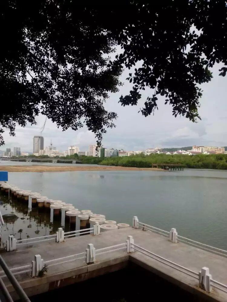 三亚东岸湿地公园旅行图片 1