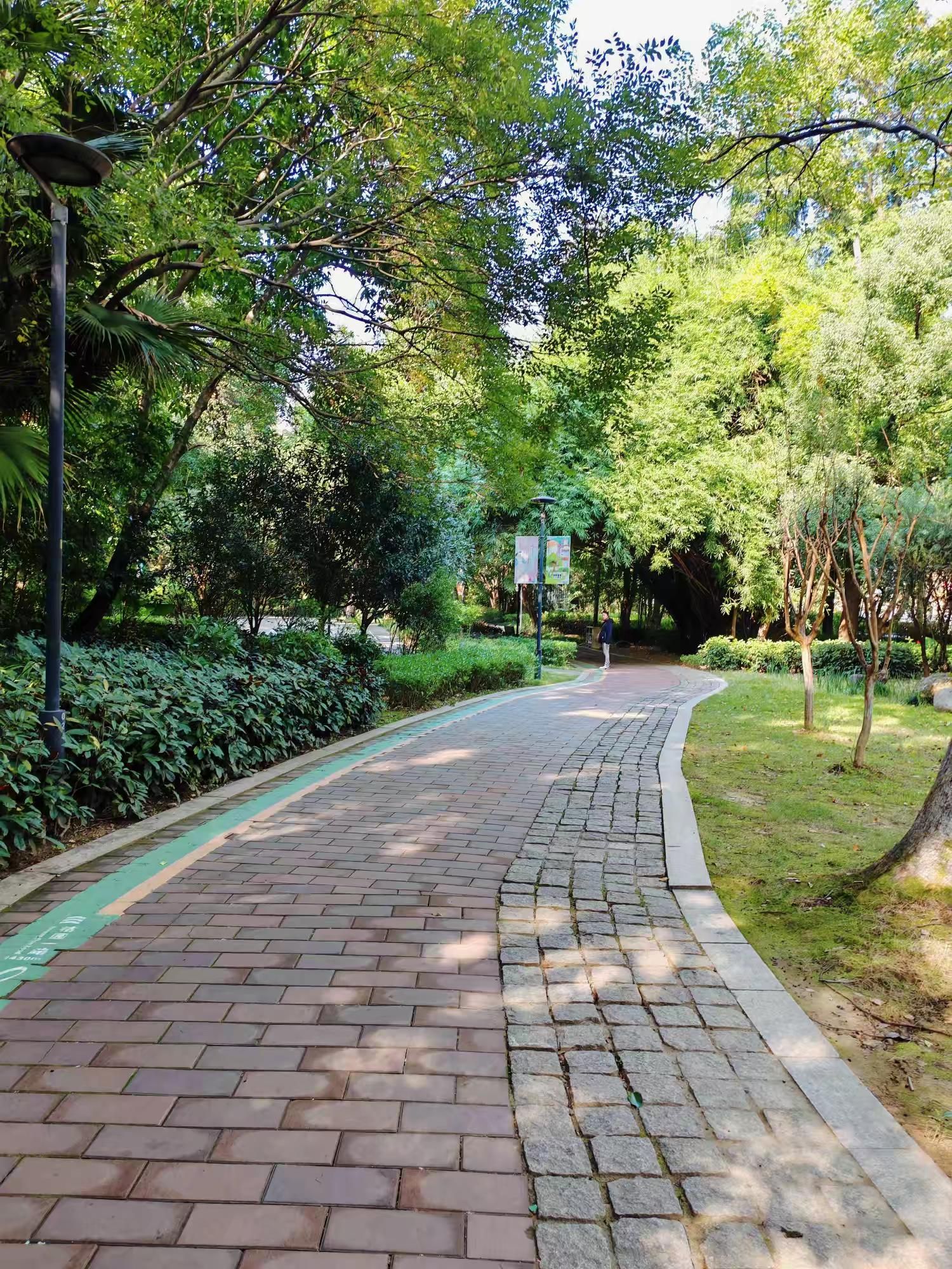 金山公园旅行图片 2