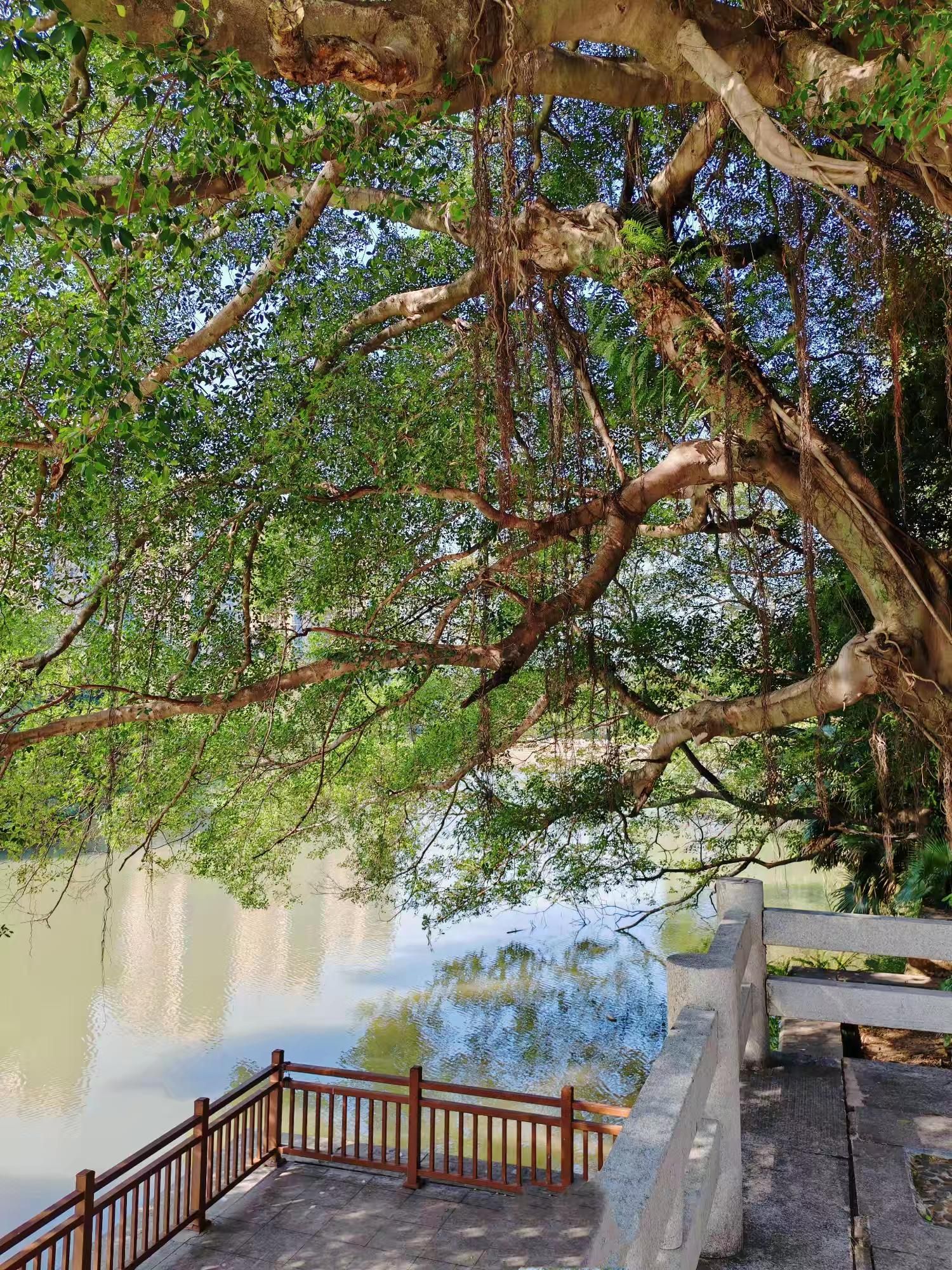 金山公园旅行图片 3