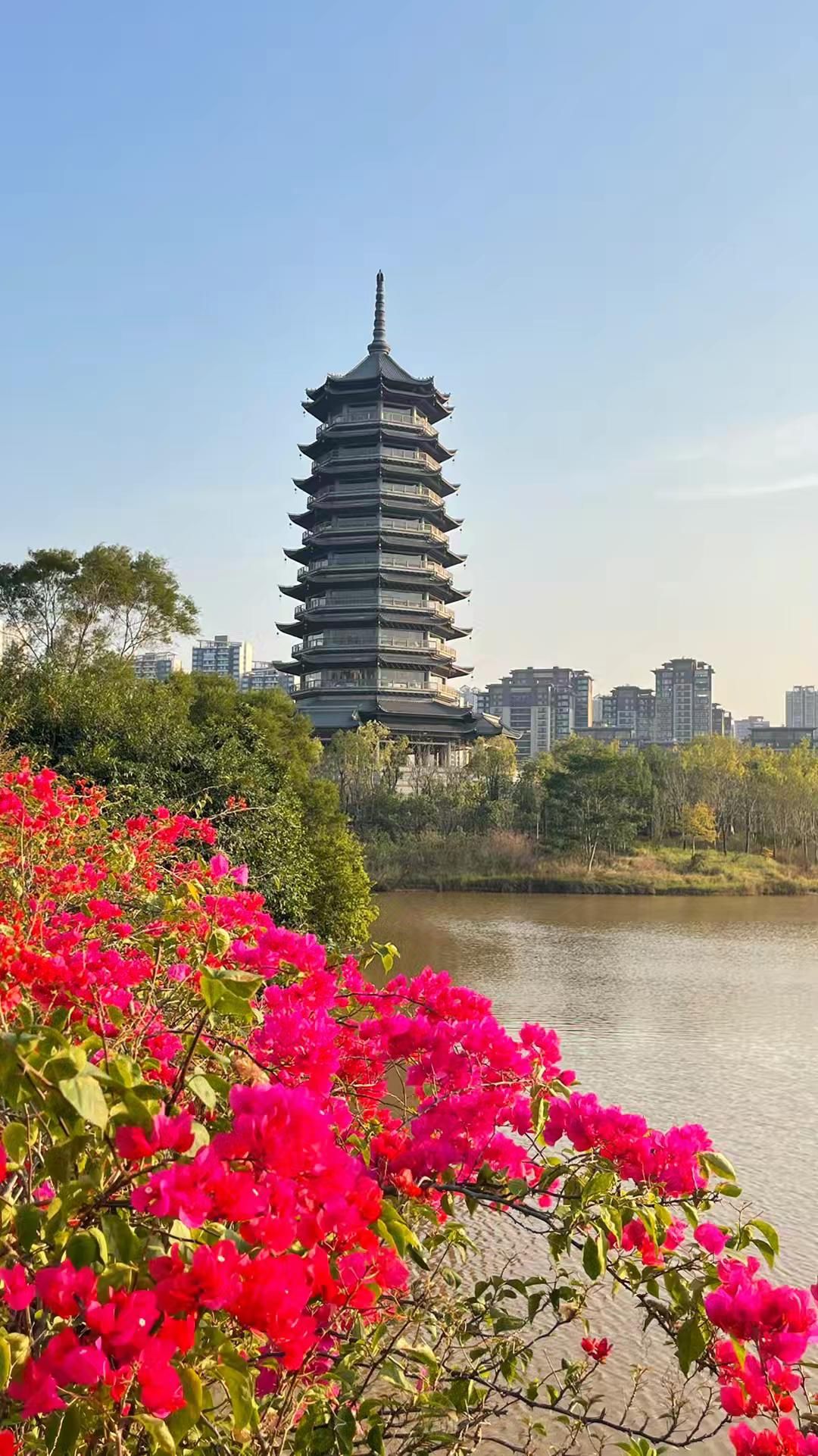 五象湖公园旅行图片 2