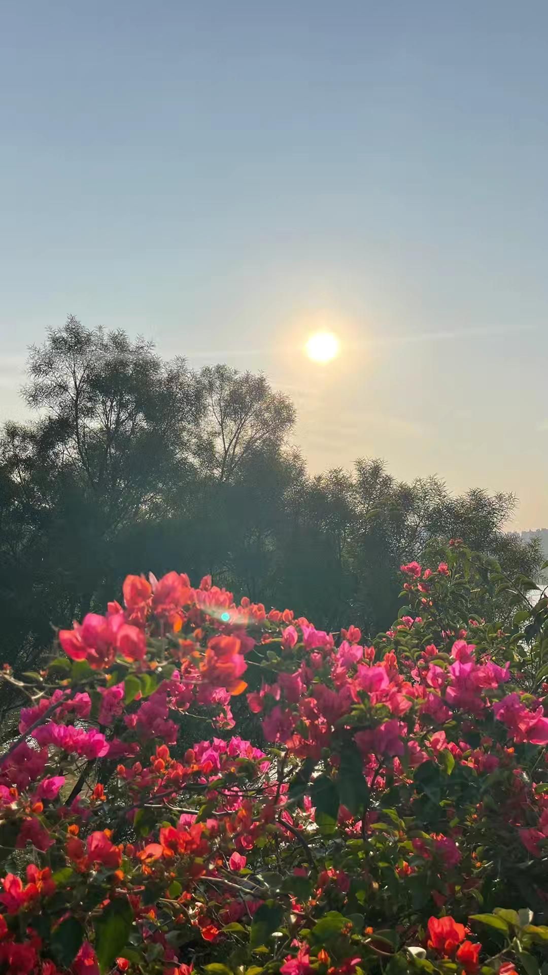 五象湖公园旅行图片 3
