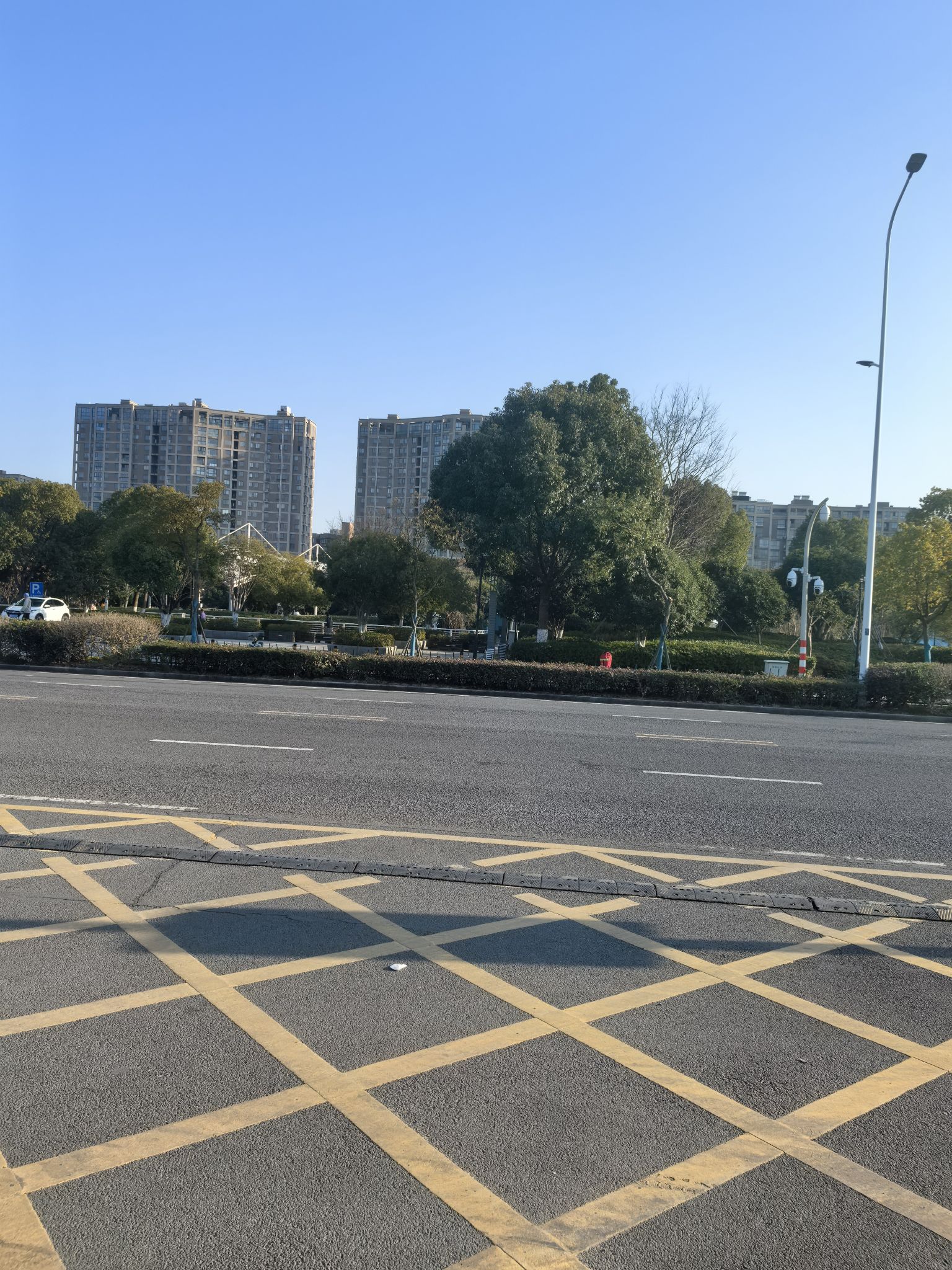 镇海绿轴体育公园旅行图片 2