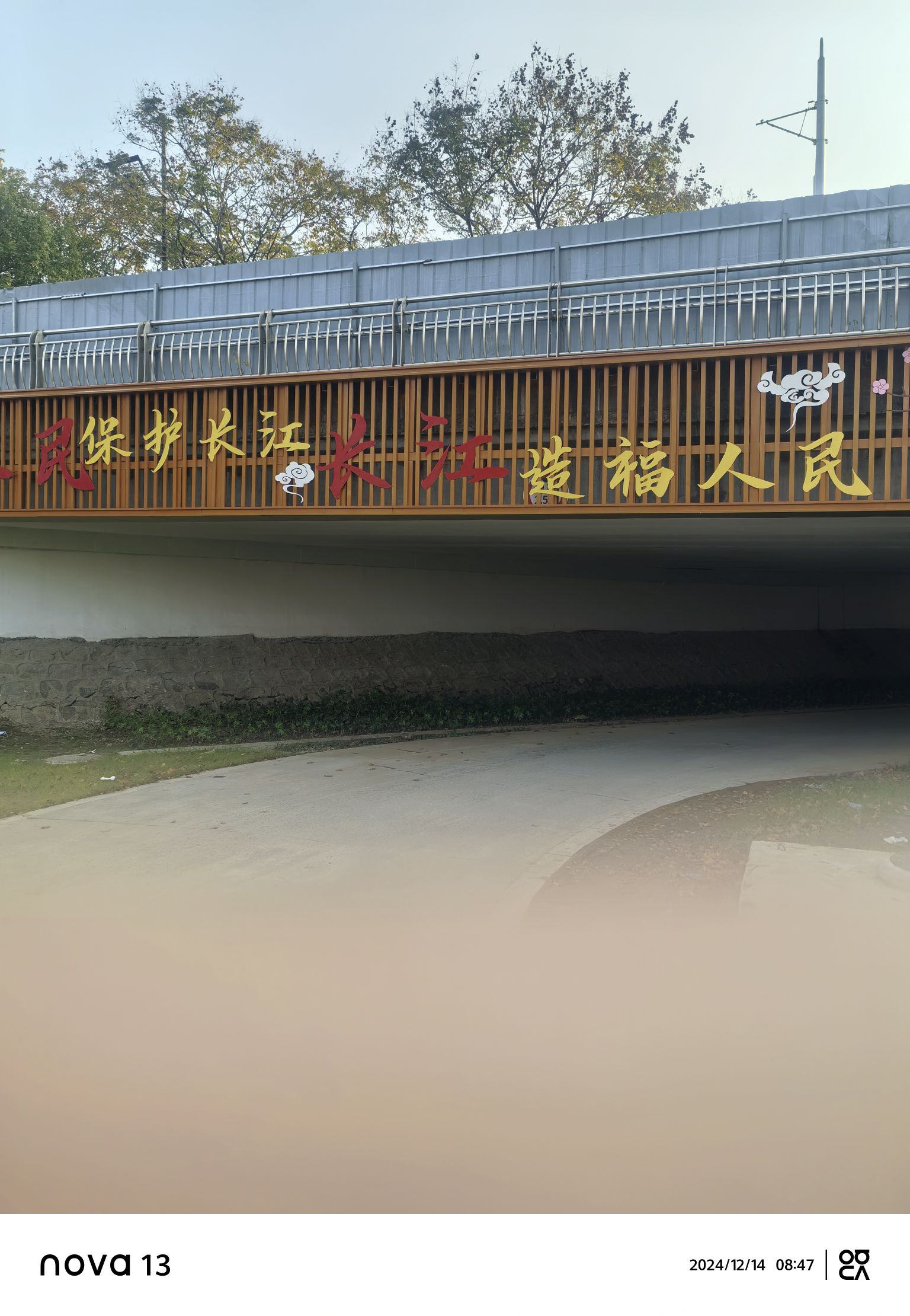 阳湖公园旅行图片 1