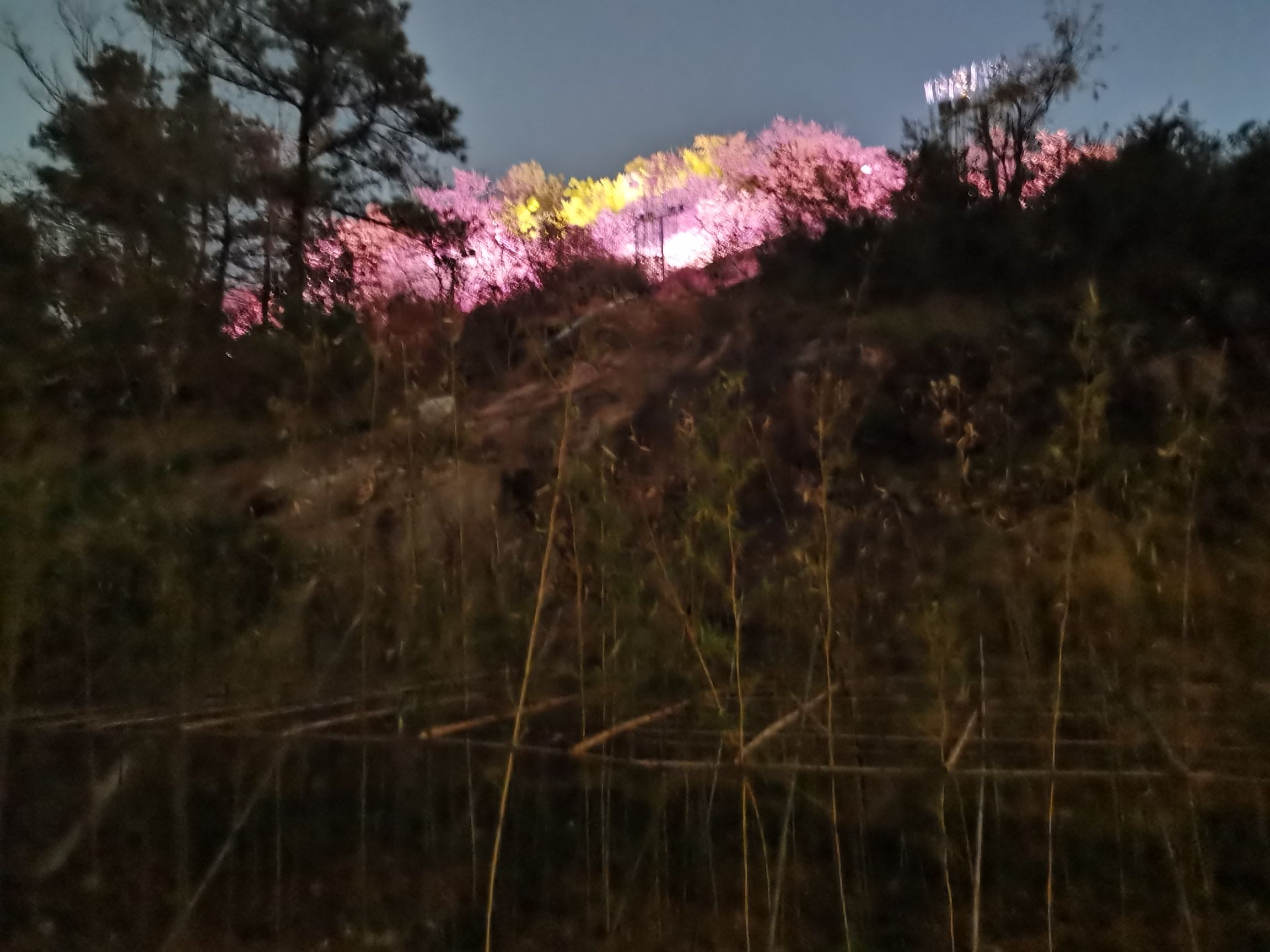 狮山奇观旅行图片 3
