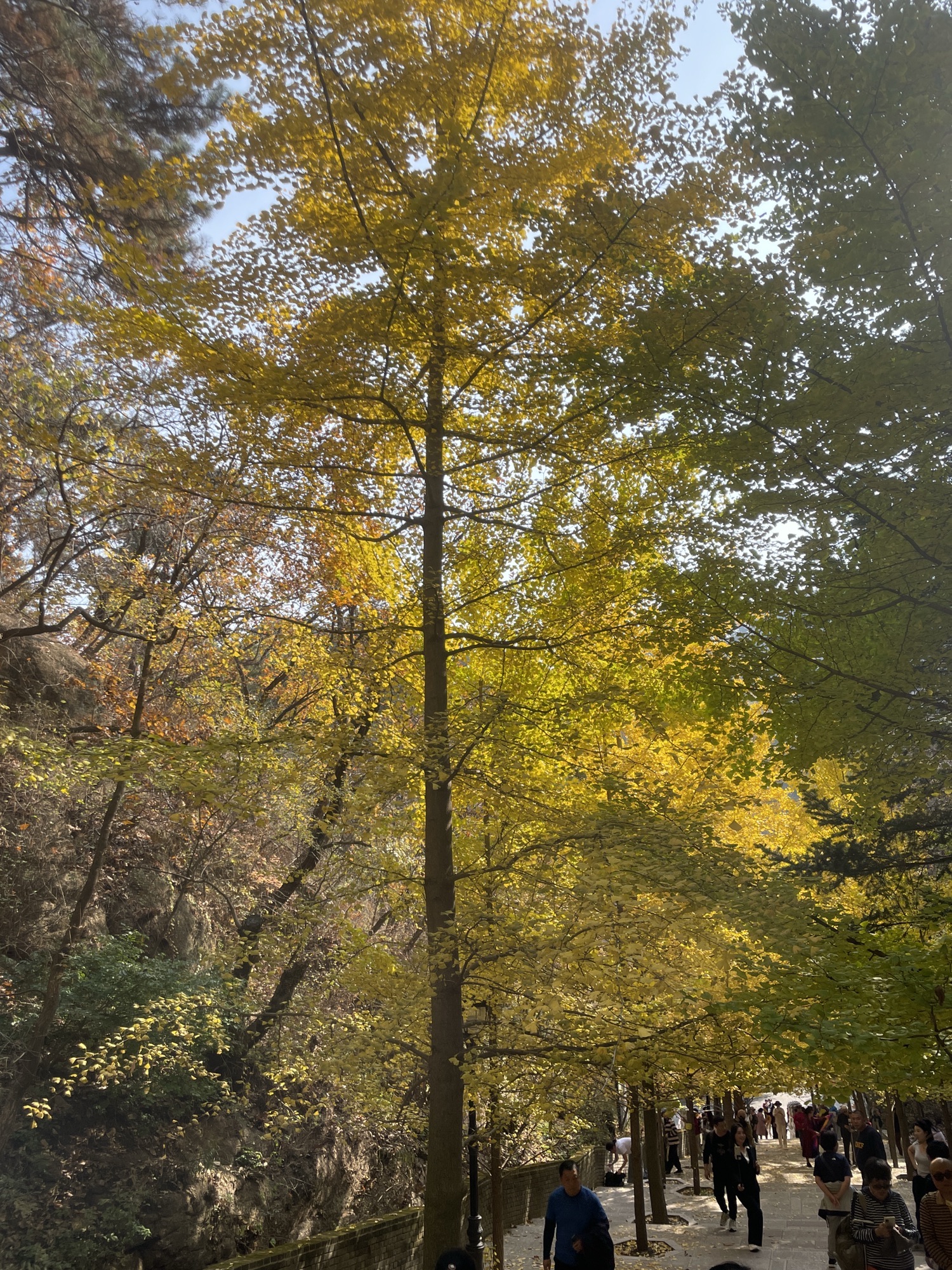 状元村风景区