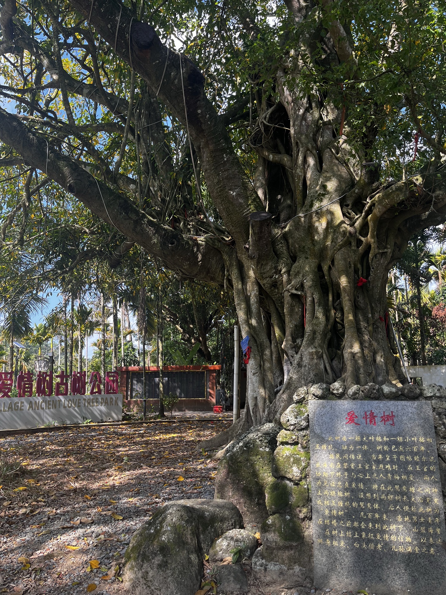 岭口皇坡王子爱情乡村公园