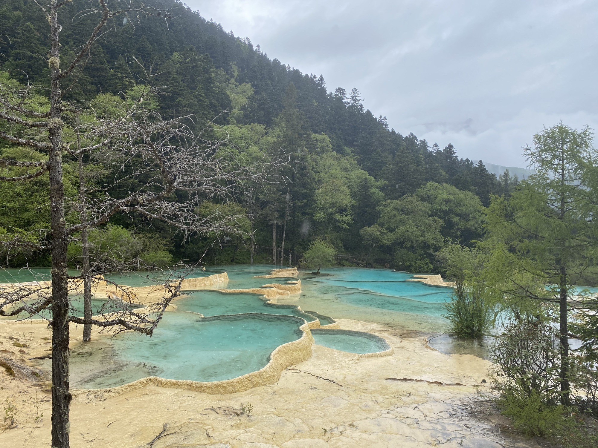 争艳池