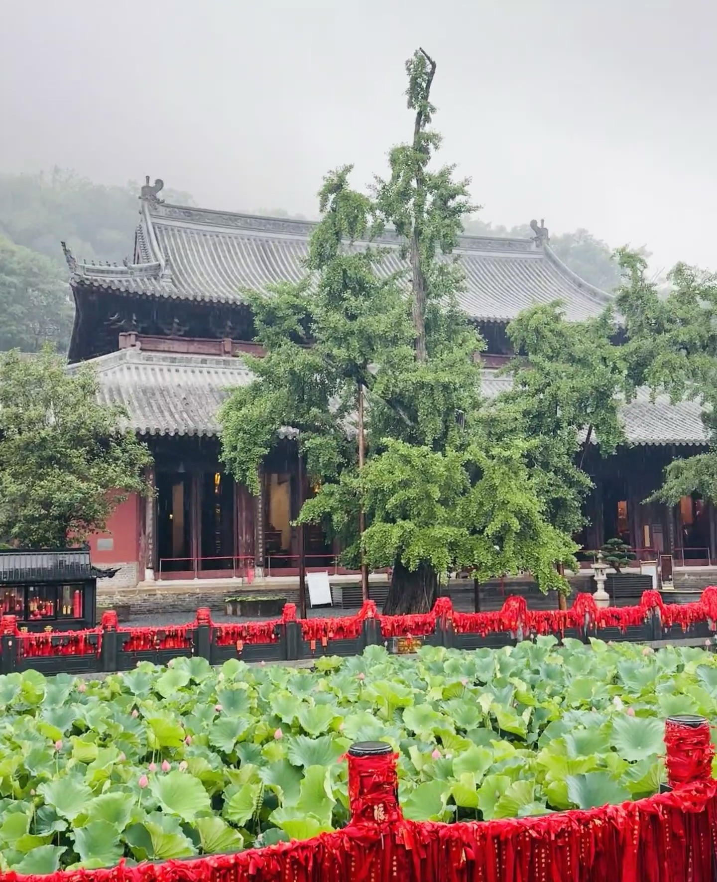 玉泉寺实景照片