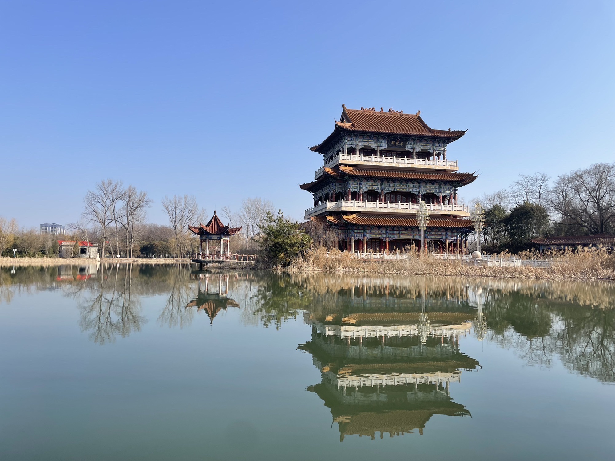 禹州森林植物园景点图片