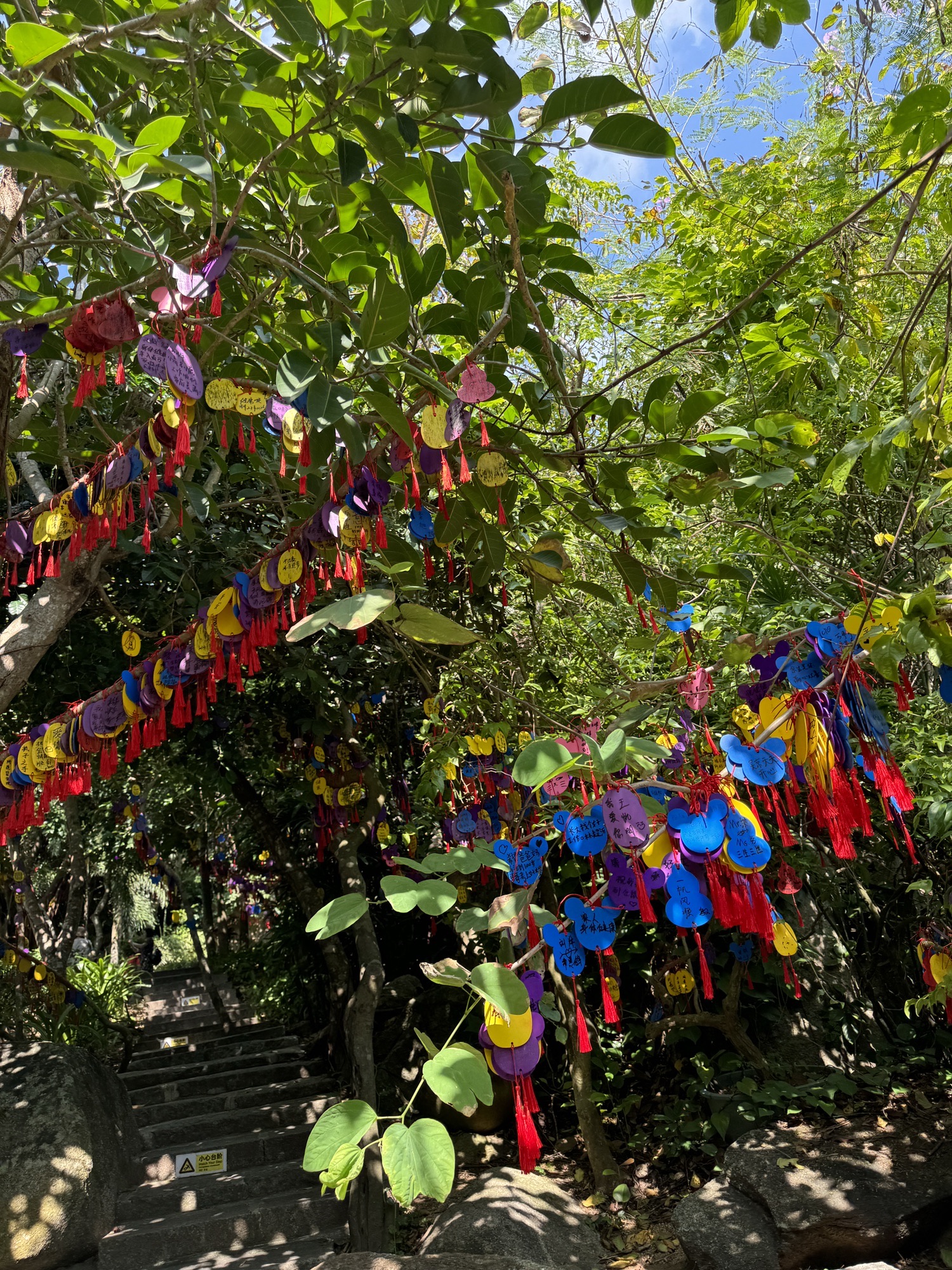 蜈支洲岛旅游风景区-护心石