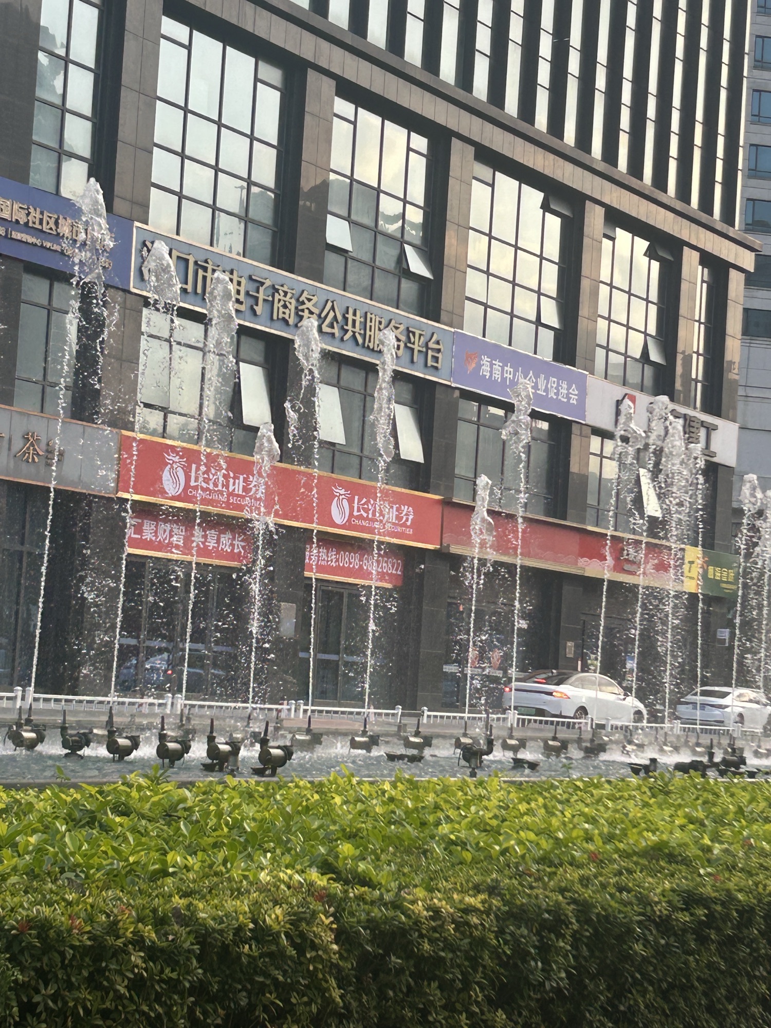 椰海金叶(海南滨海国际金融中心店)