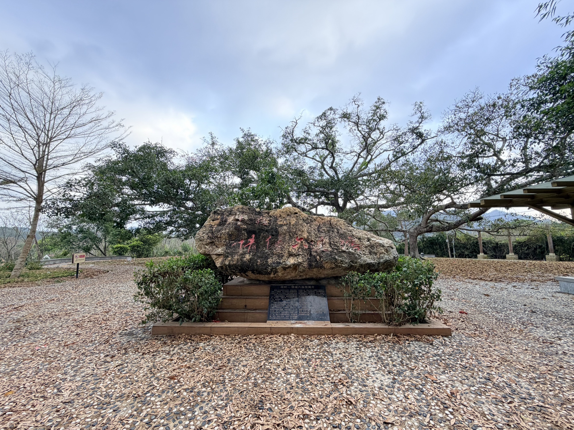 六体连榕