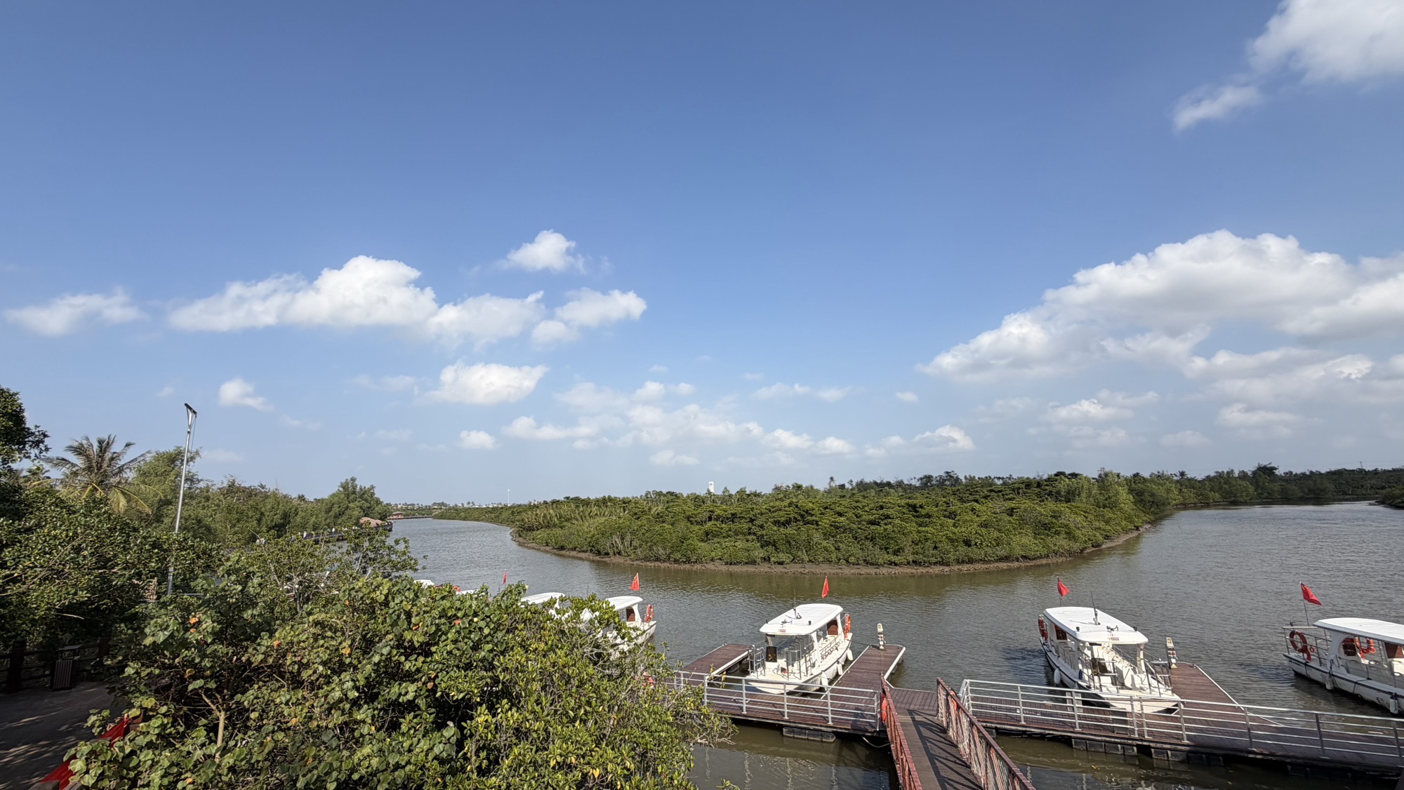 红树林招潮蟹观测点
