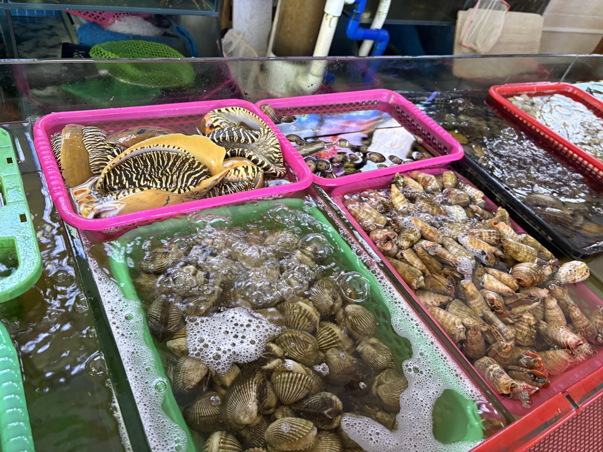 美济渔家海鲜馆