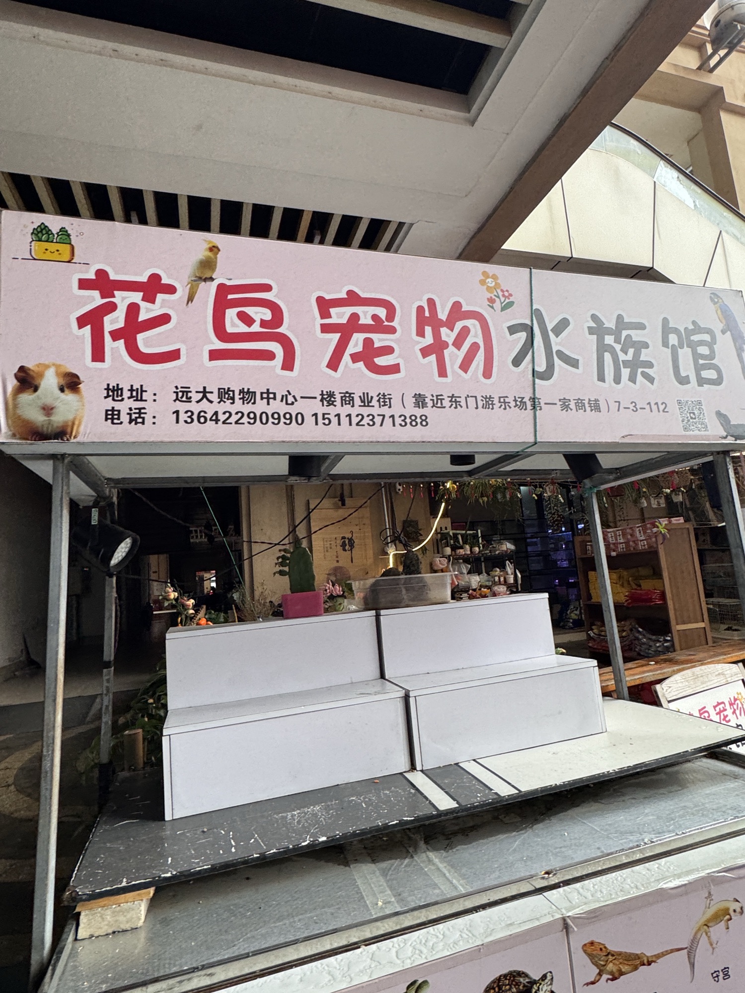 丰水阁花鸟宠物水族店(远大购物中心店)