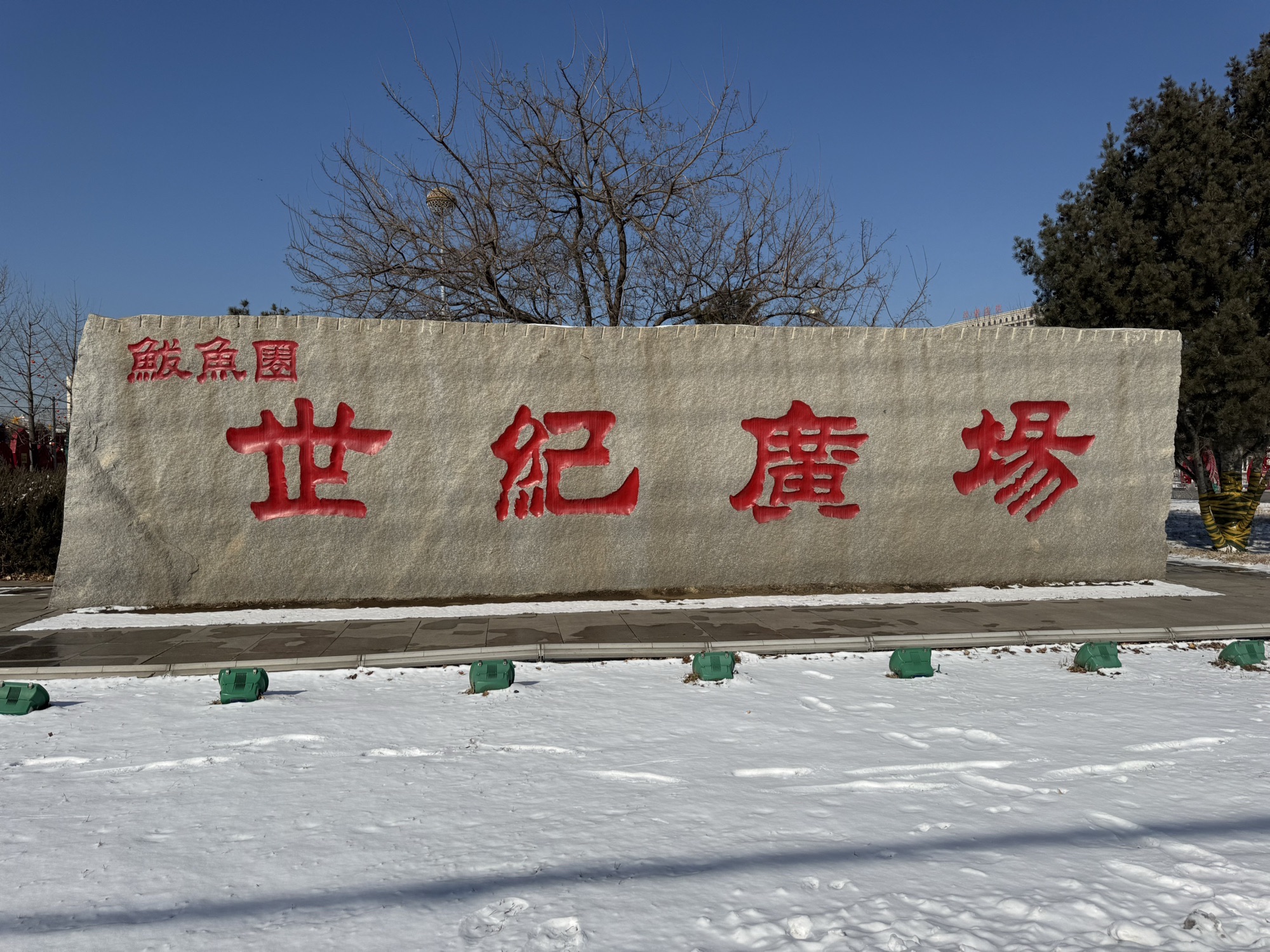 鲅鱼圈世纪广场景点图片
