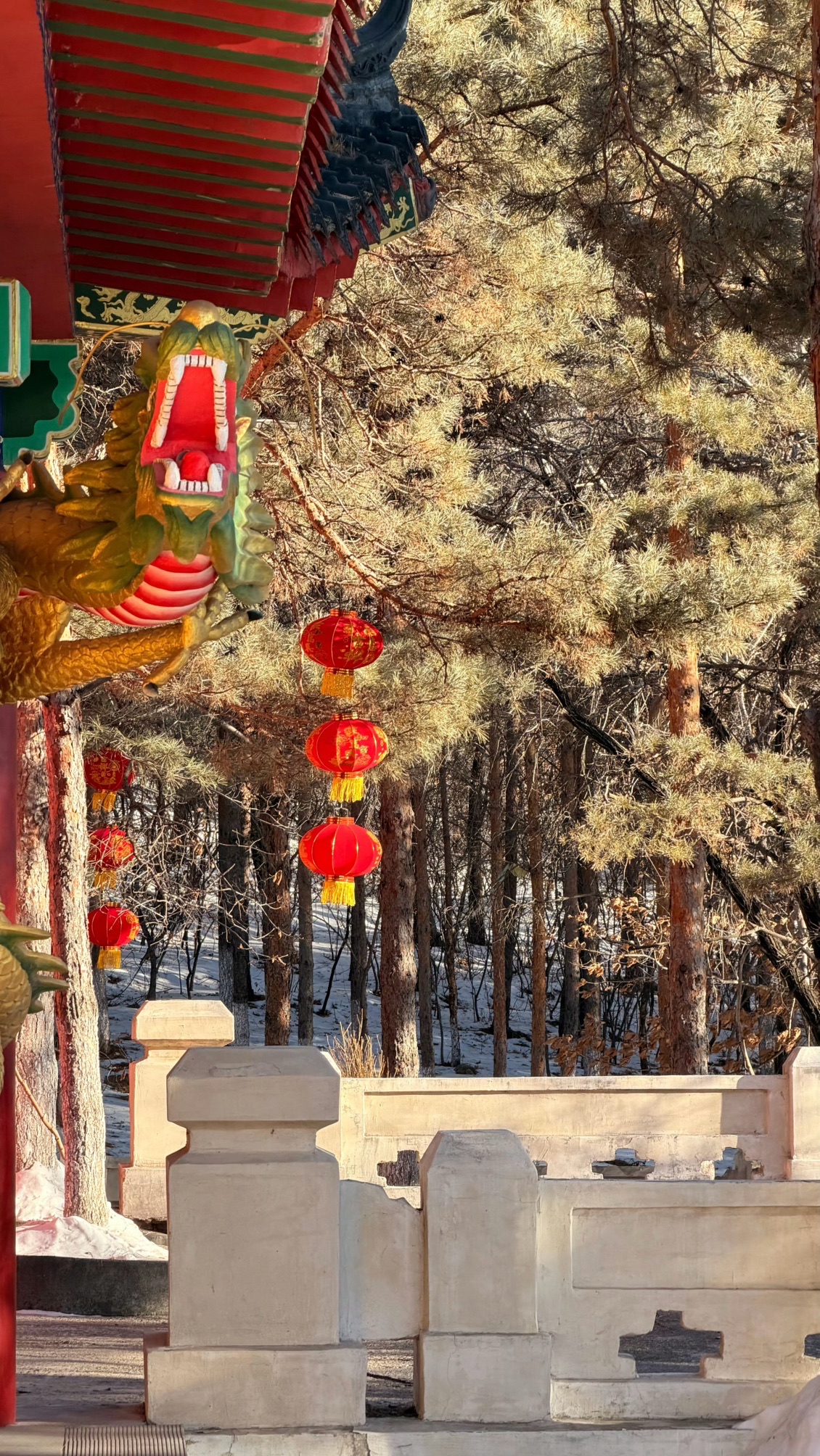 玉佛寺实景照片