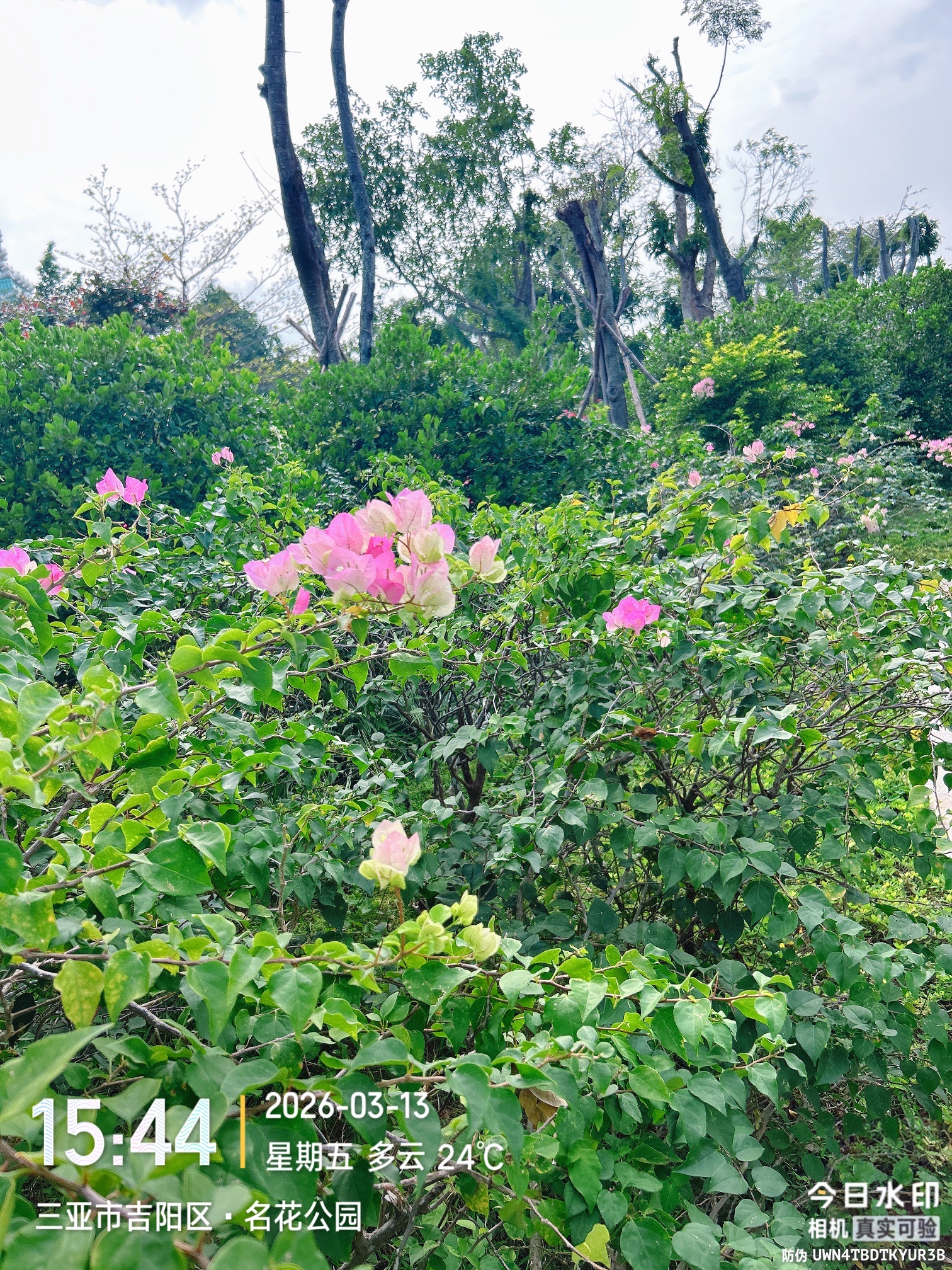 名花公园