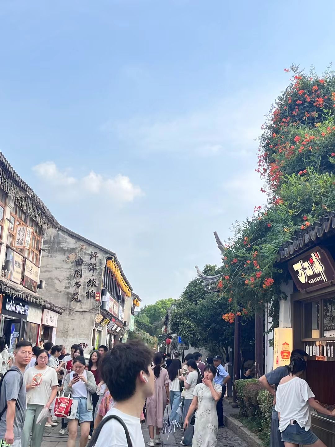 奥林匹克生态公园-滩地公园旅行图片 2