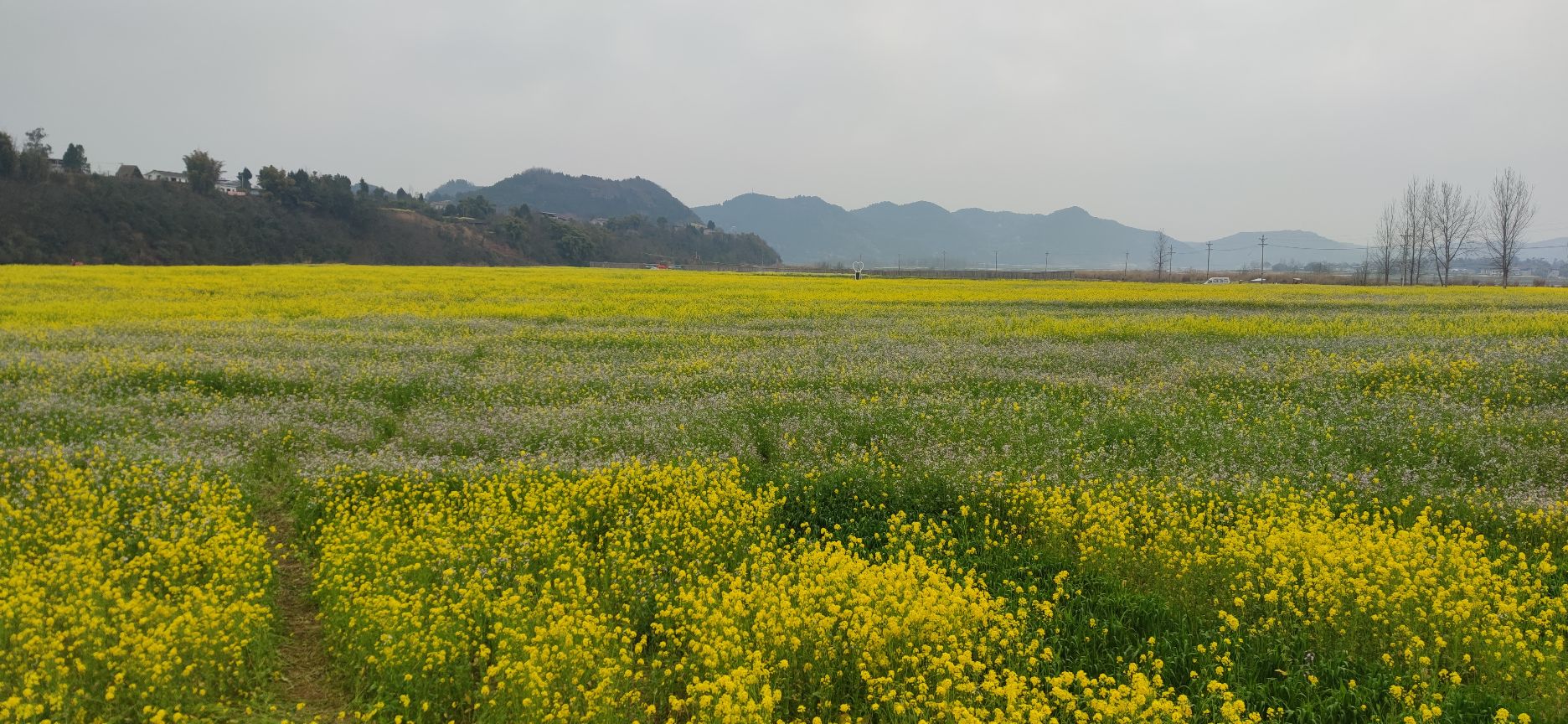 渔溪镇渔溪桥村太古岛旅行图片 1