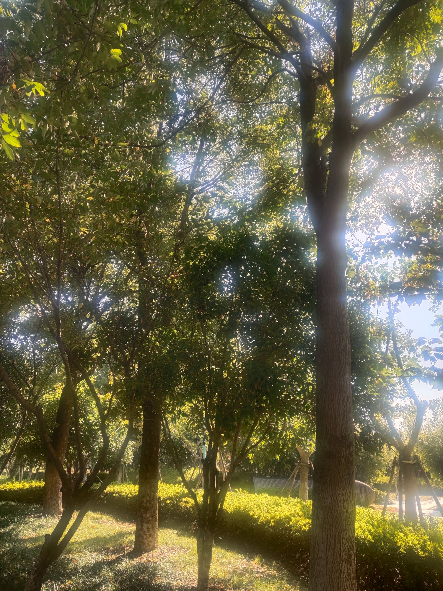 红草湖湿地公园旅行图片 3