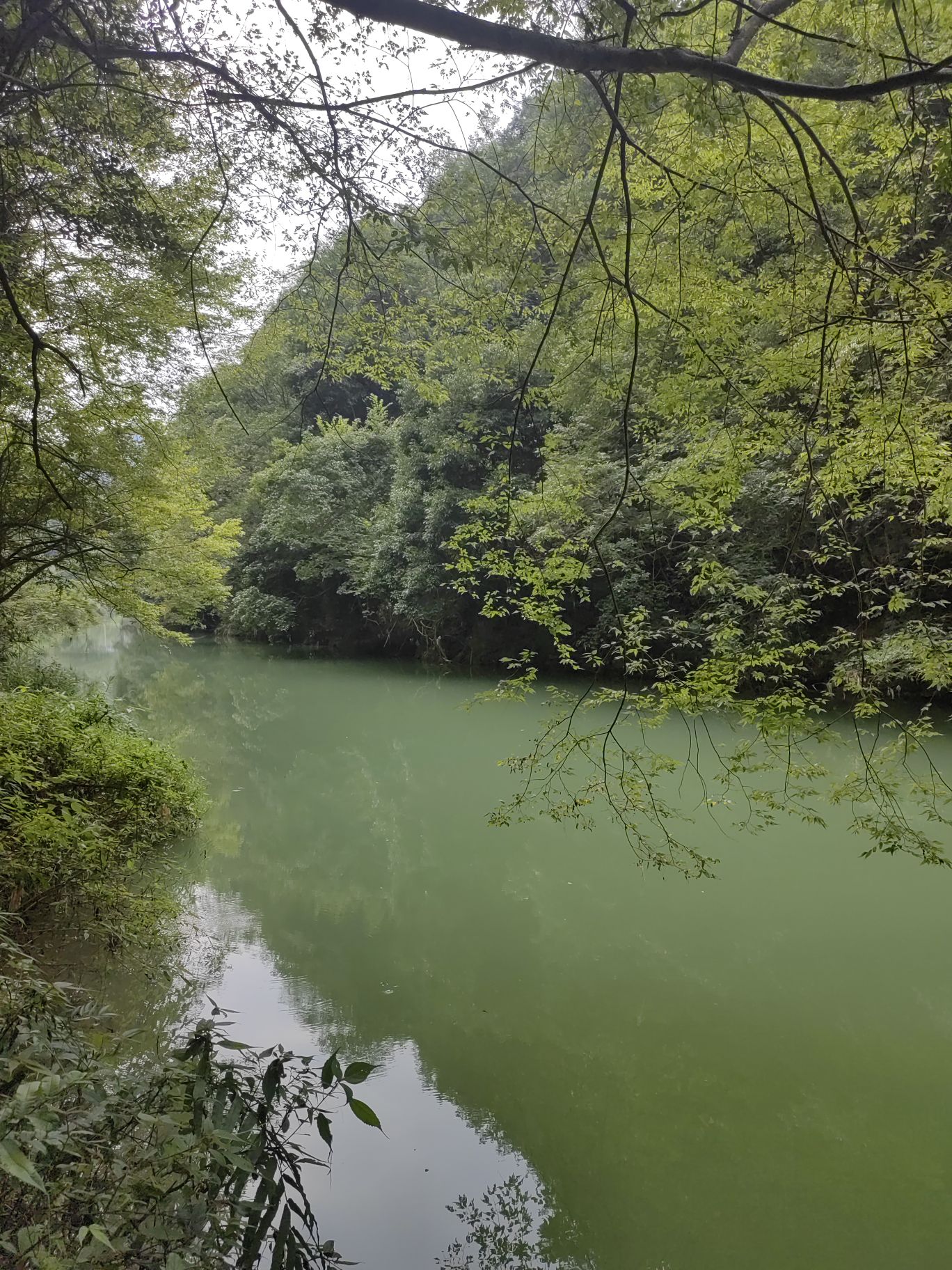 雷打岩旅行图片 2