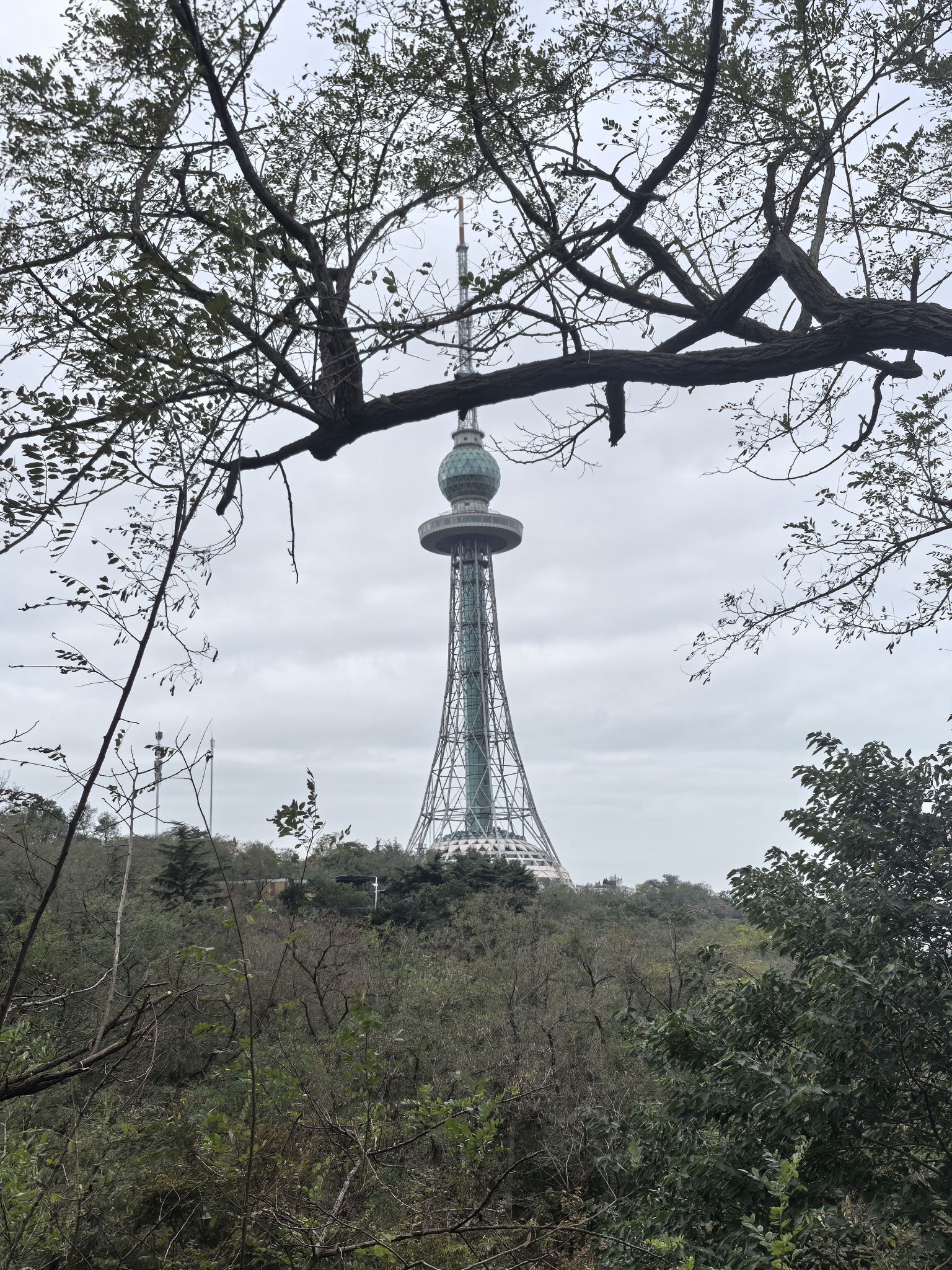 榉林公园旅行图片 2