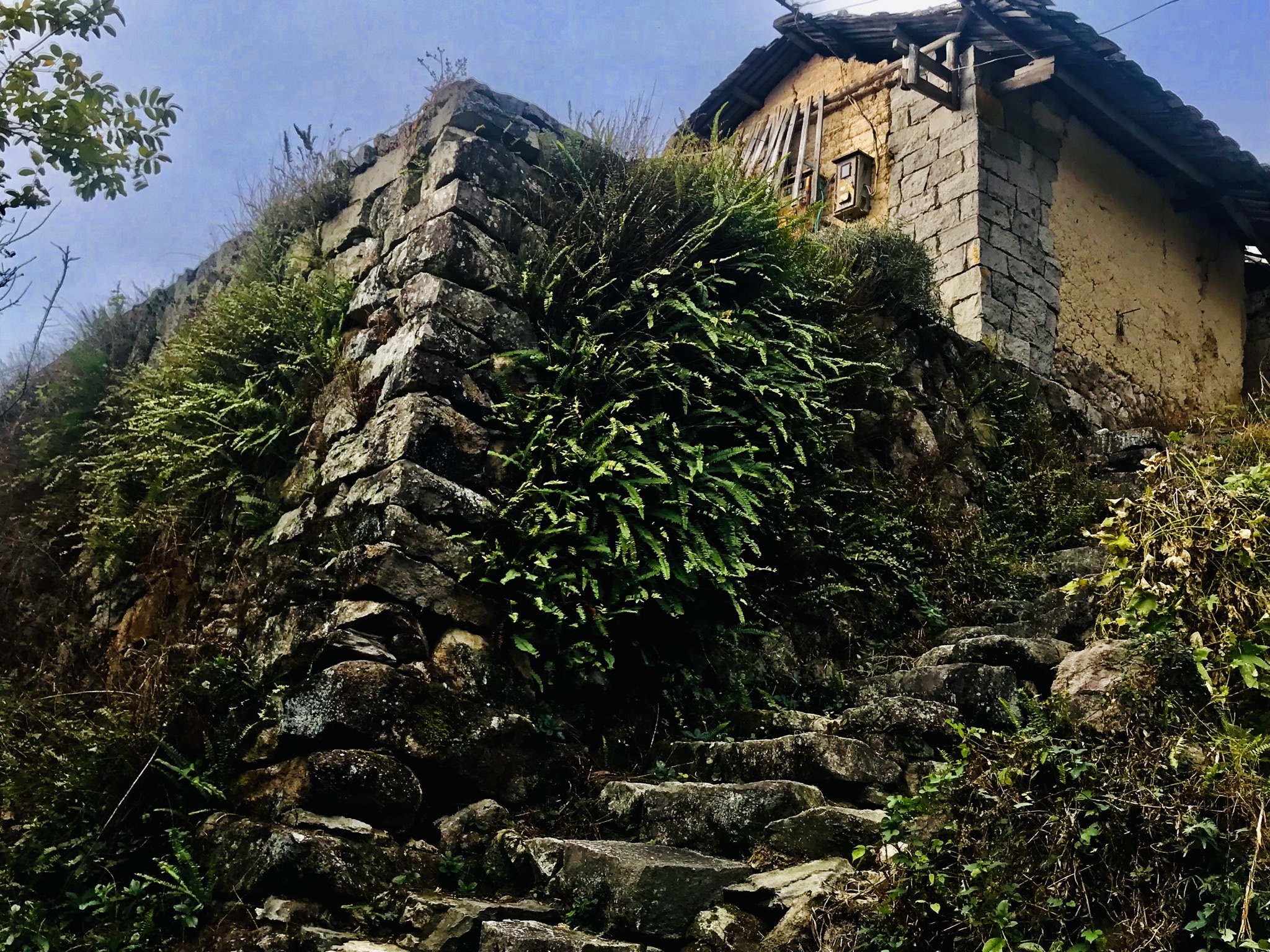 福建九九溪观音峡自然风景区旅行图片 2