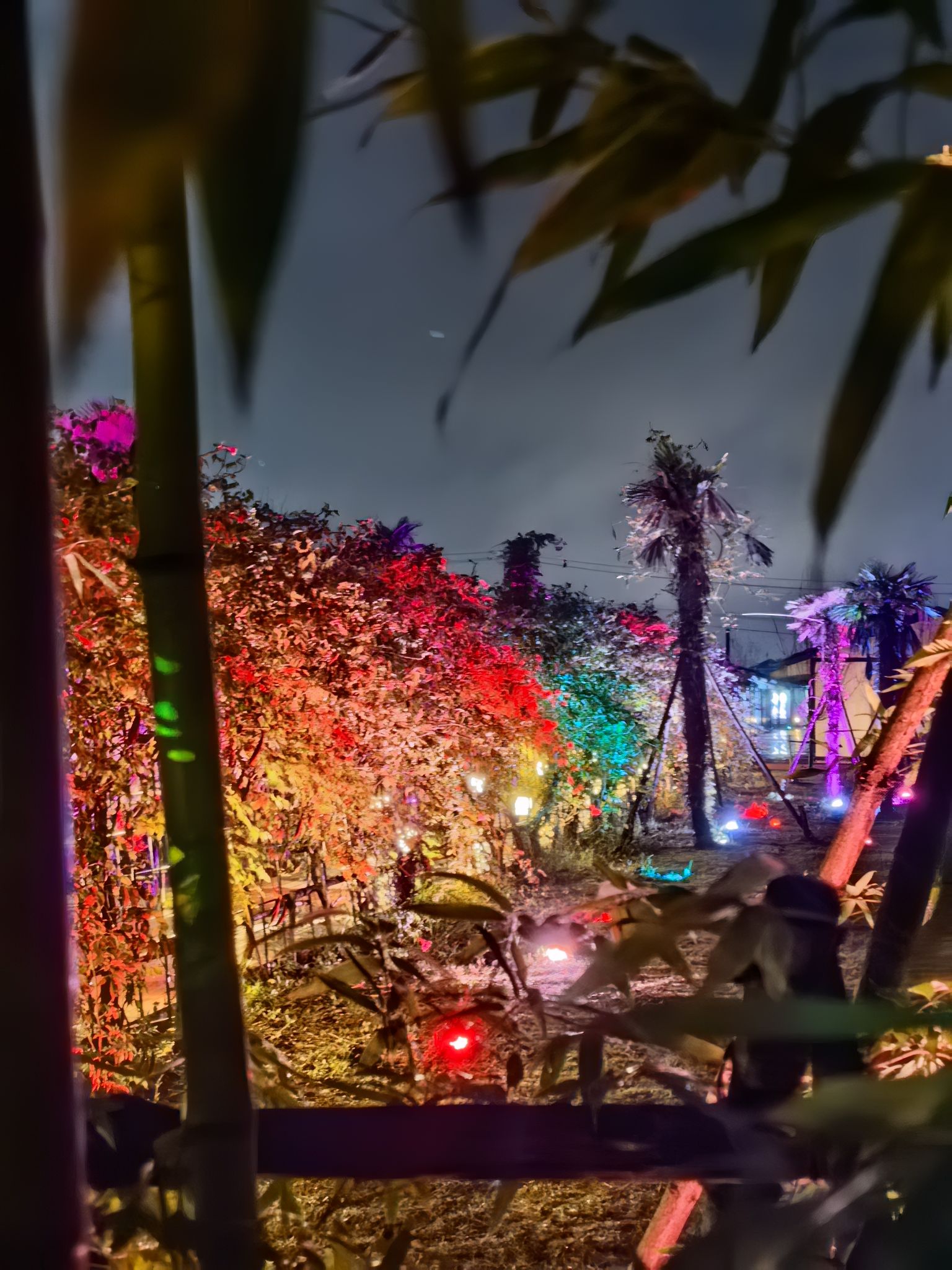 溧水仟陌花开综合景区旅行图片 3