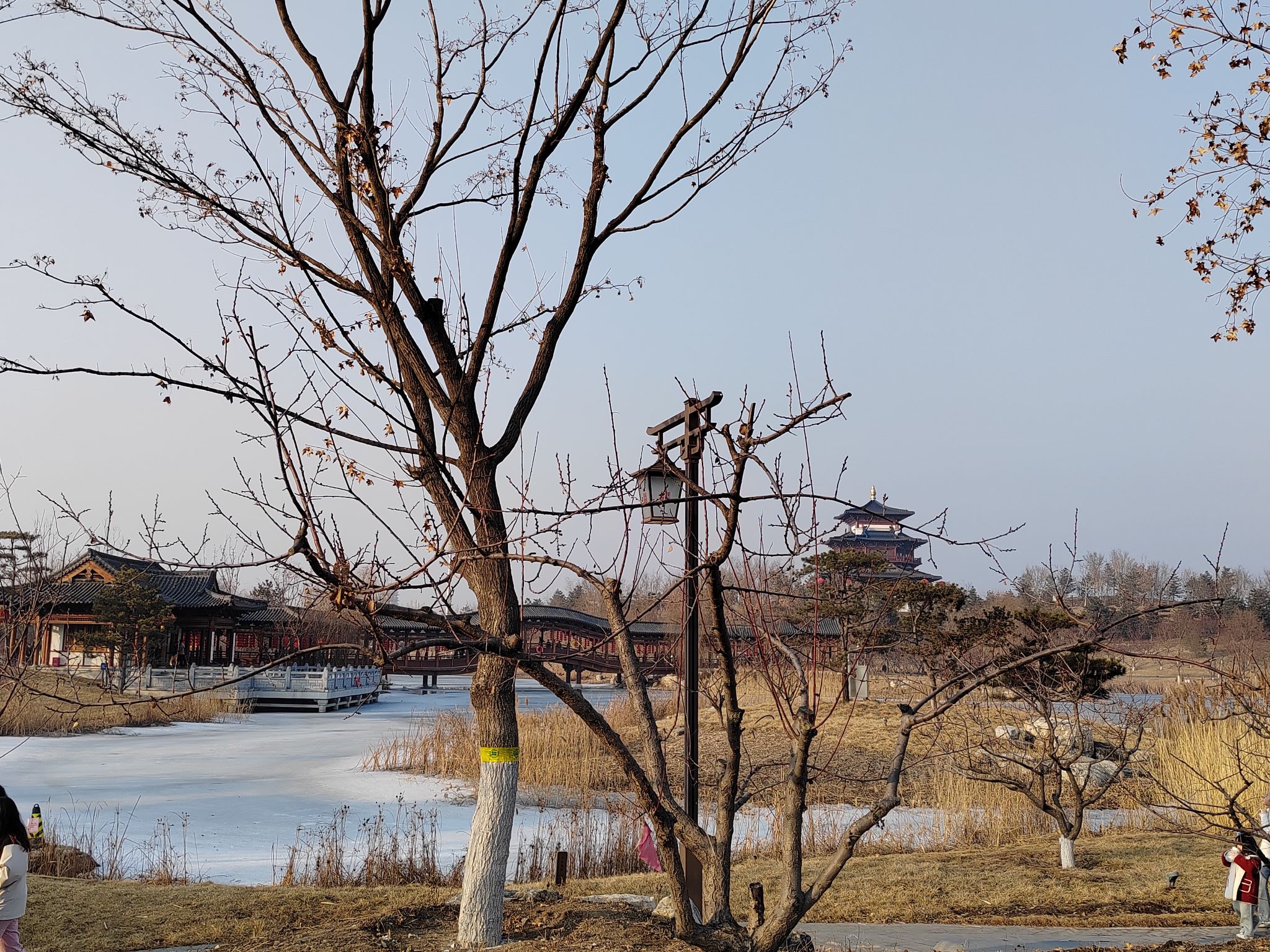 悦容台旅行图片 1