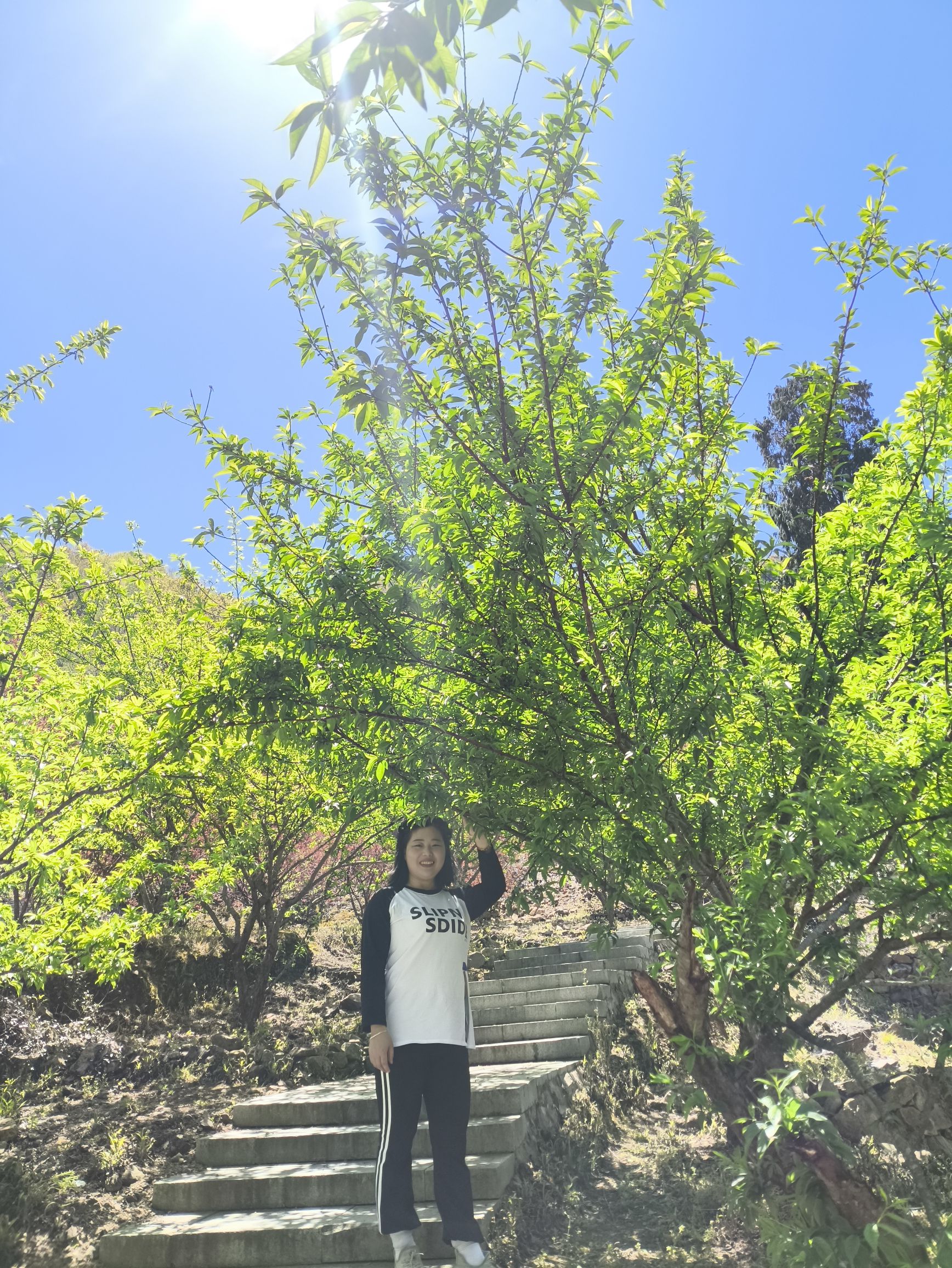 清扬公园旅行图片 2