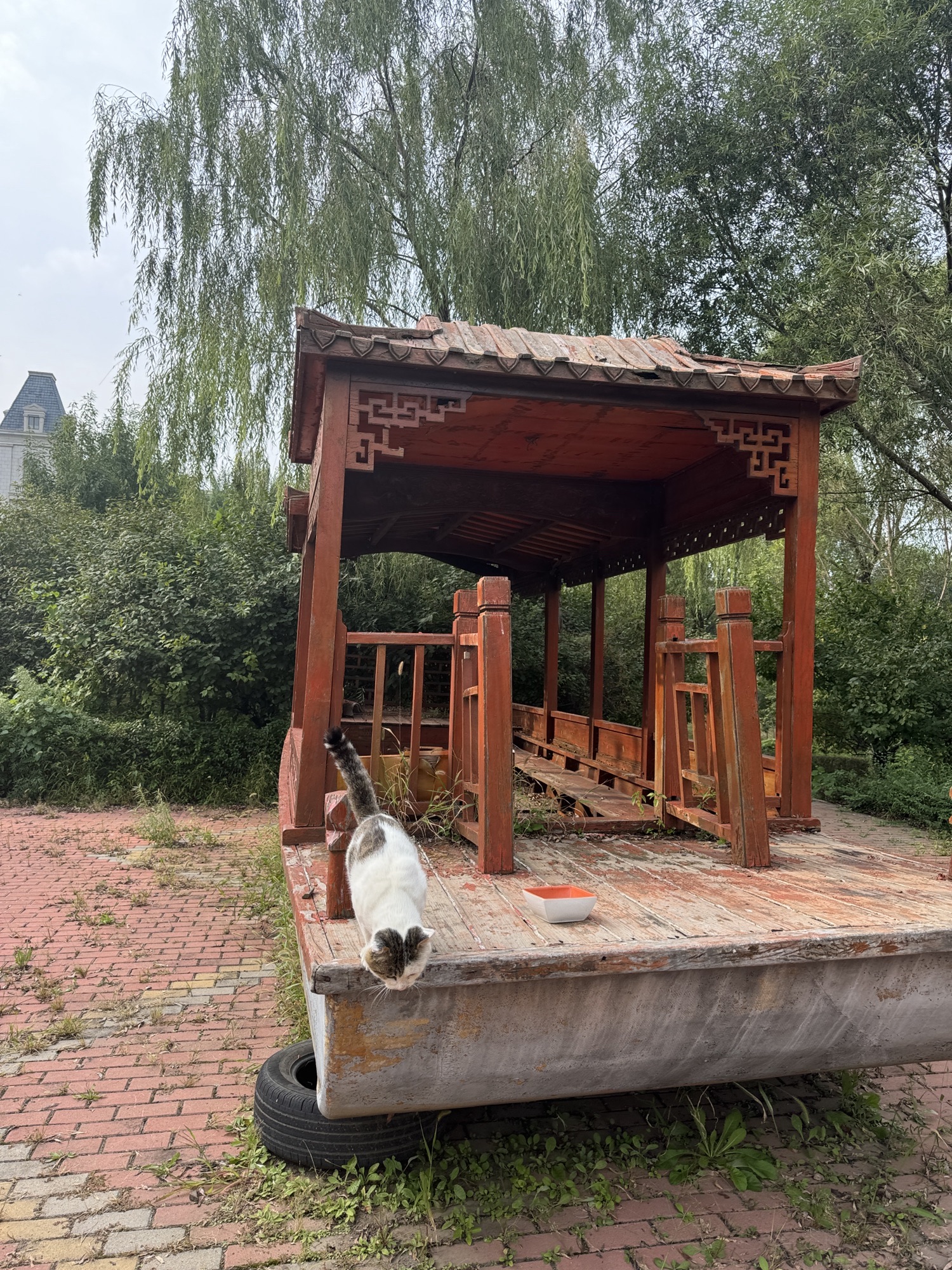 御龙湖湿地公园旅行图片 2