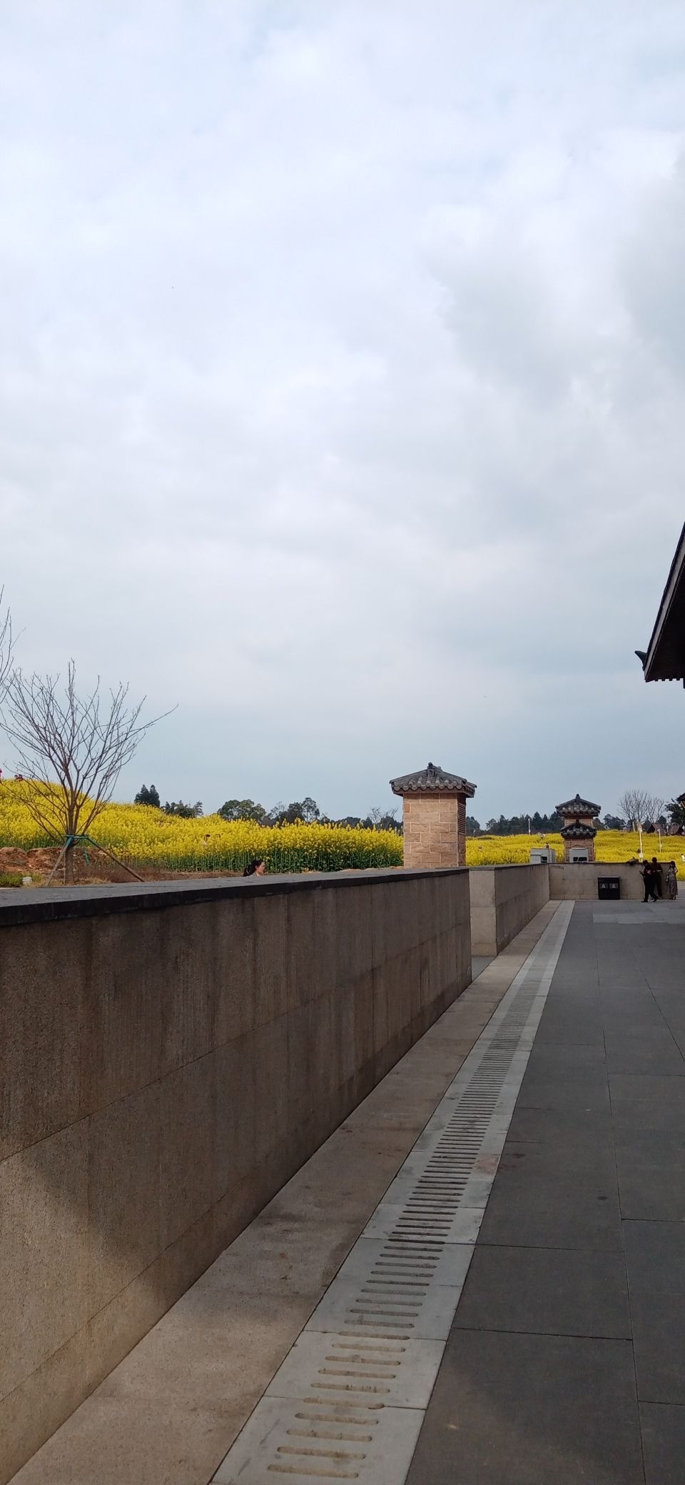 瞿上田园旅行图片 2