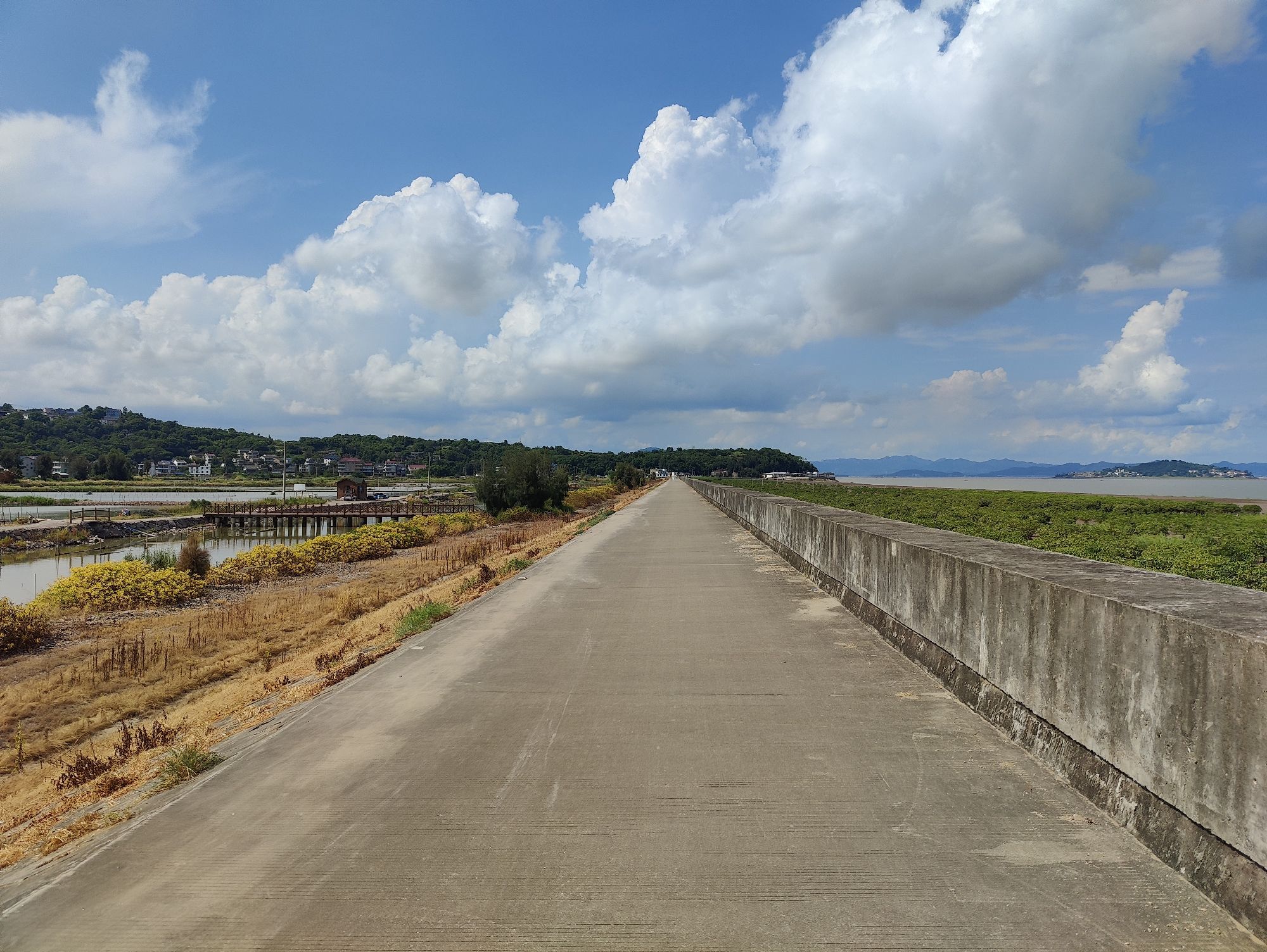 海山乡红树林湿地旅行图片 1