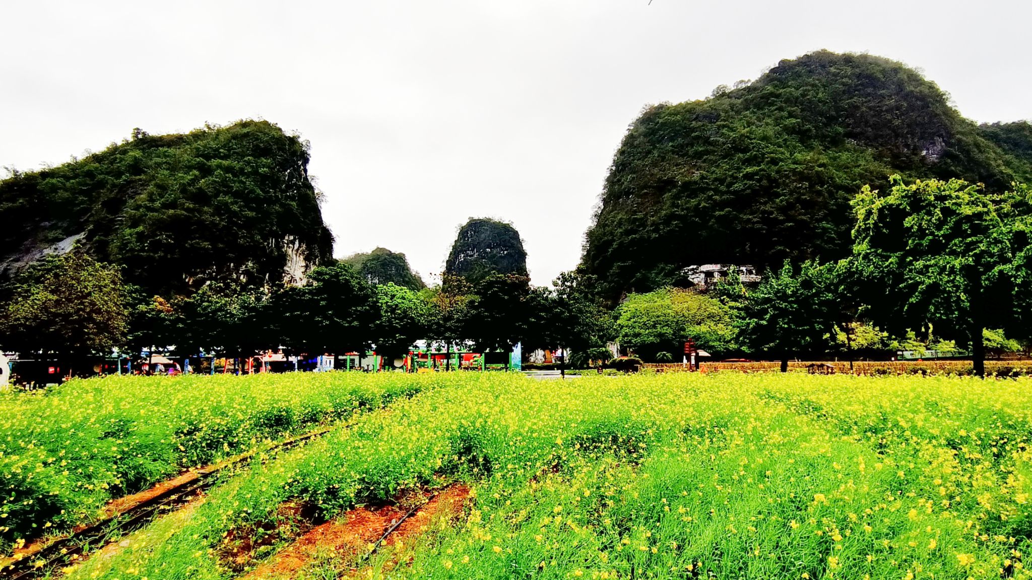 英西峰林·峰林晓镇旅行图片 1