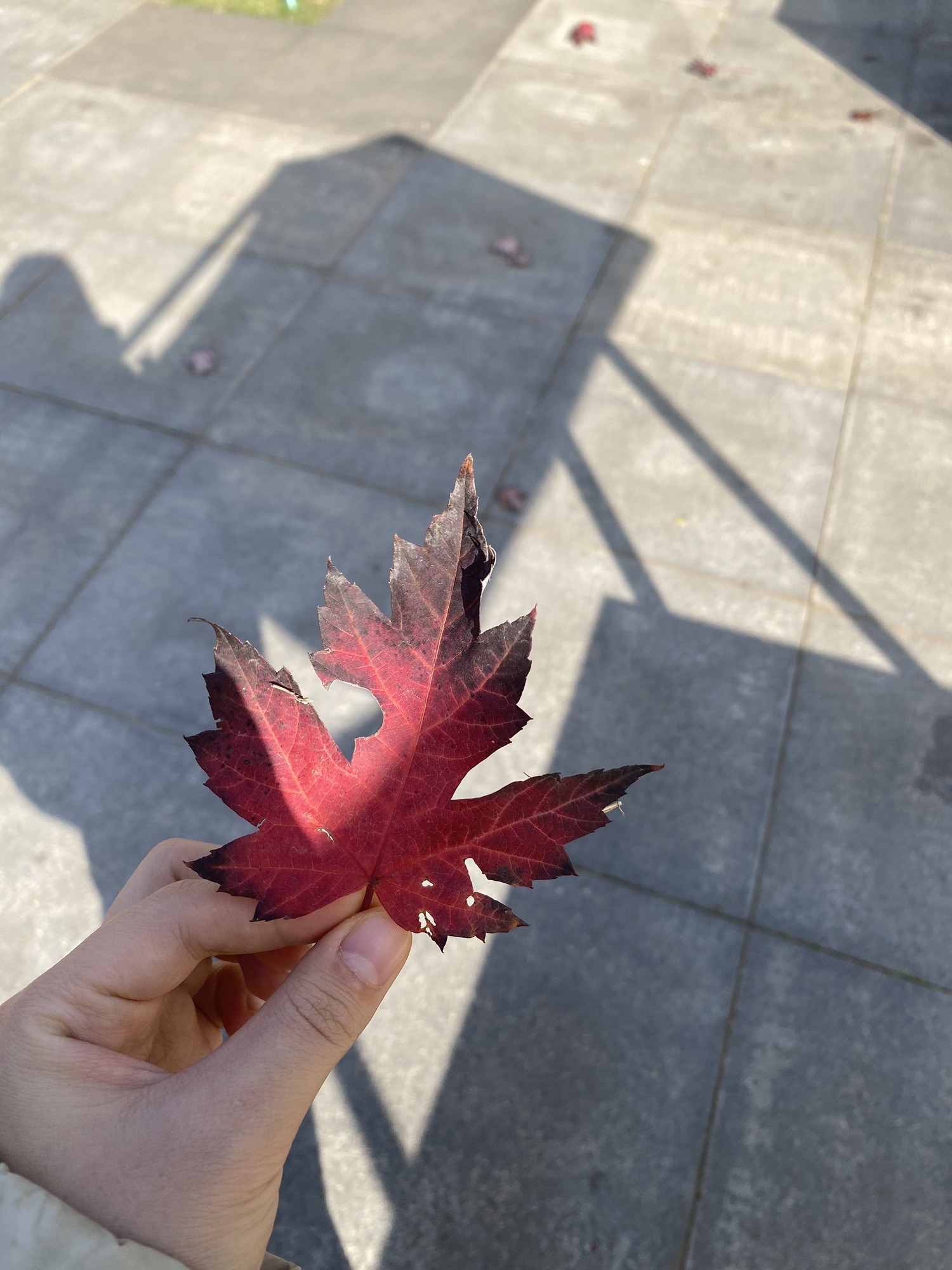 浔阳江文化旅游景区旅行图片 3