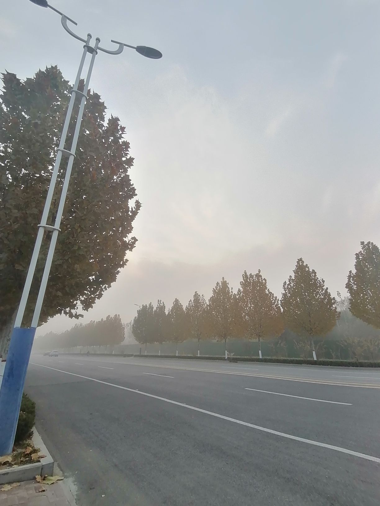故城县植物园旅行图片 3