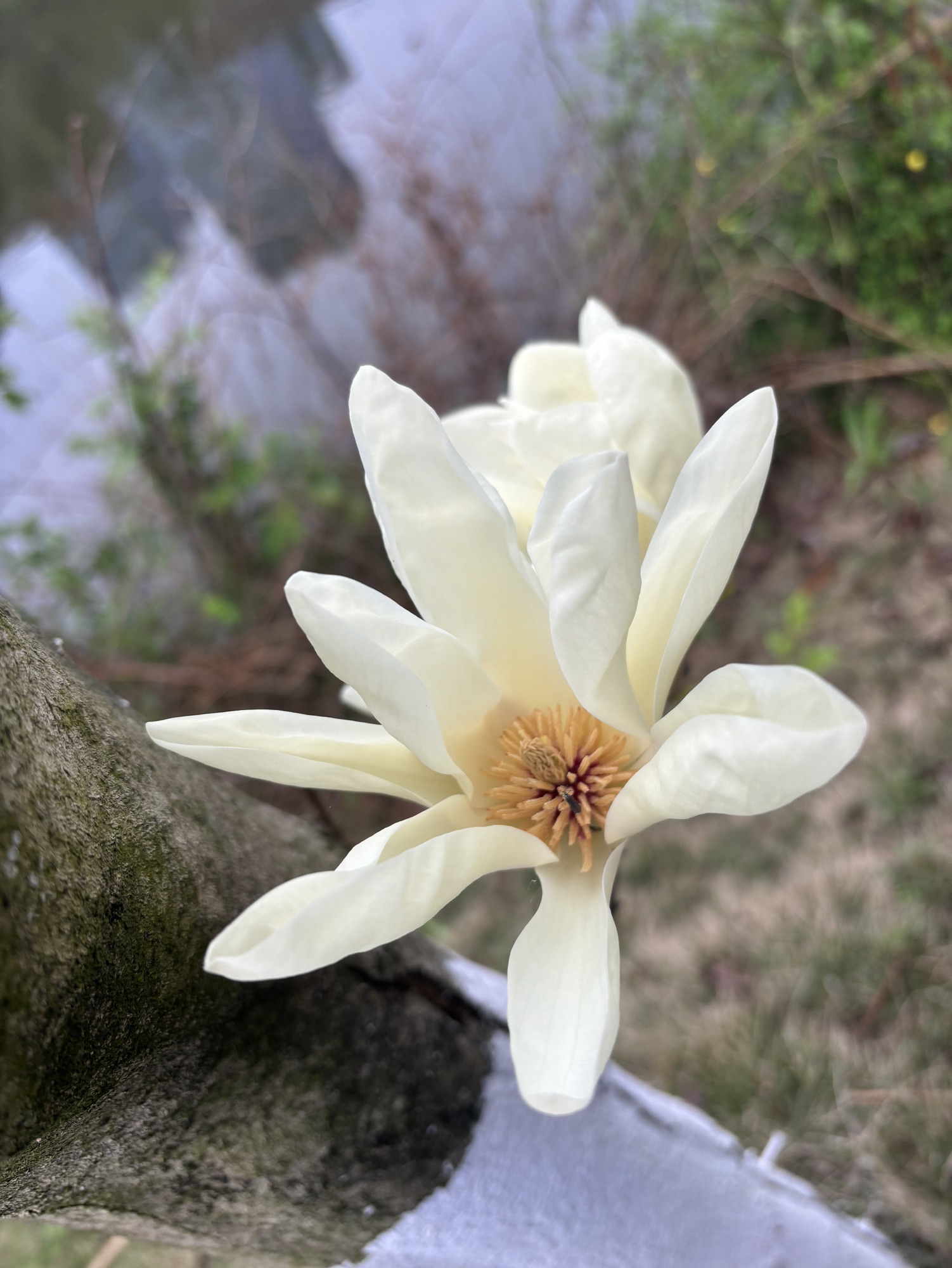 颐和生态公园旅行图片 1