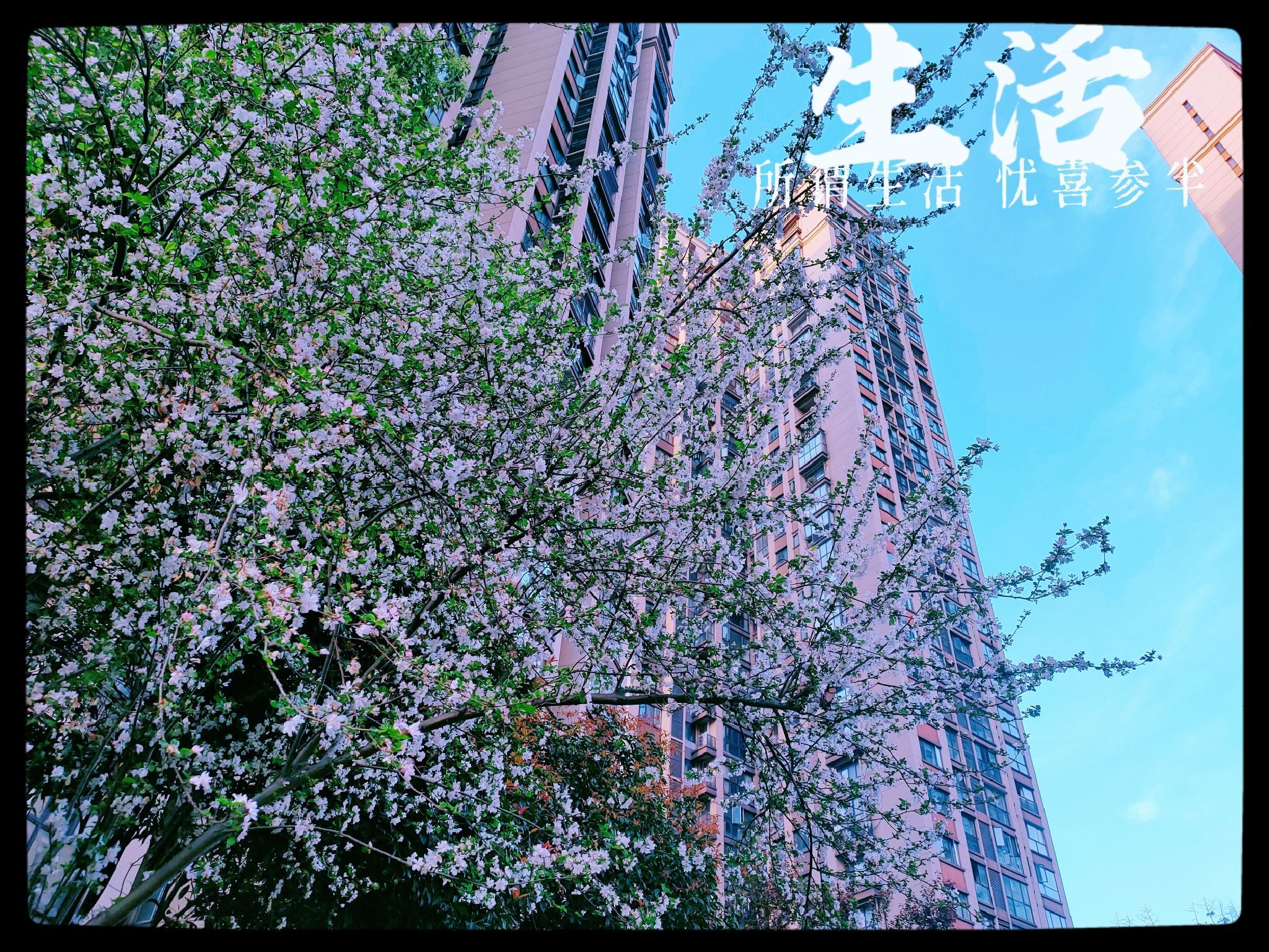 龙王港风光带旅行图片 1
