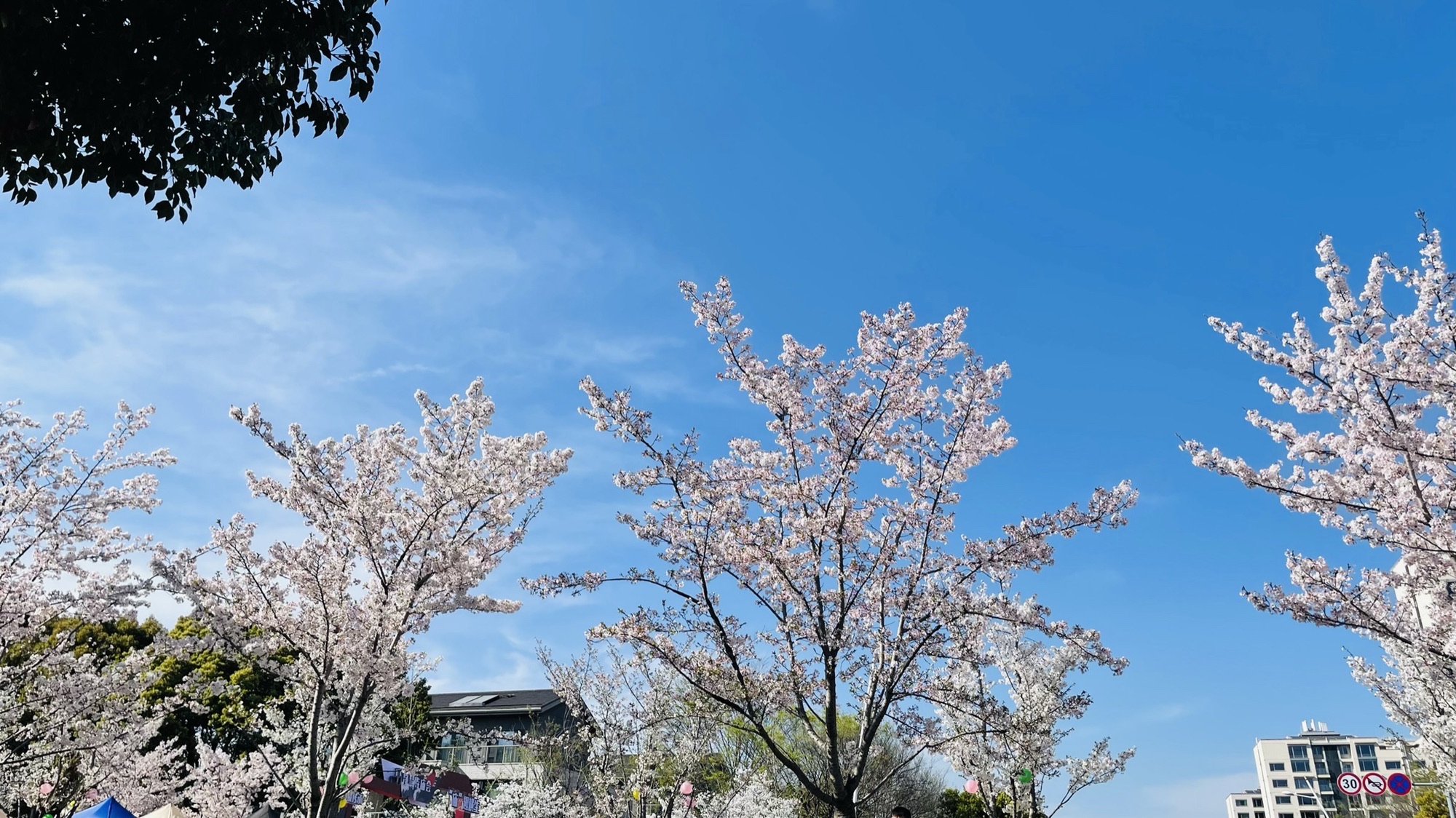 无锡市净慧寺旅行图片 2