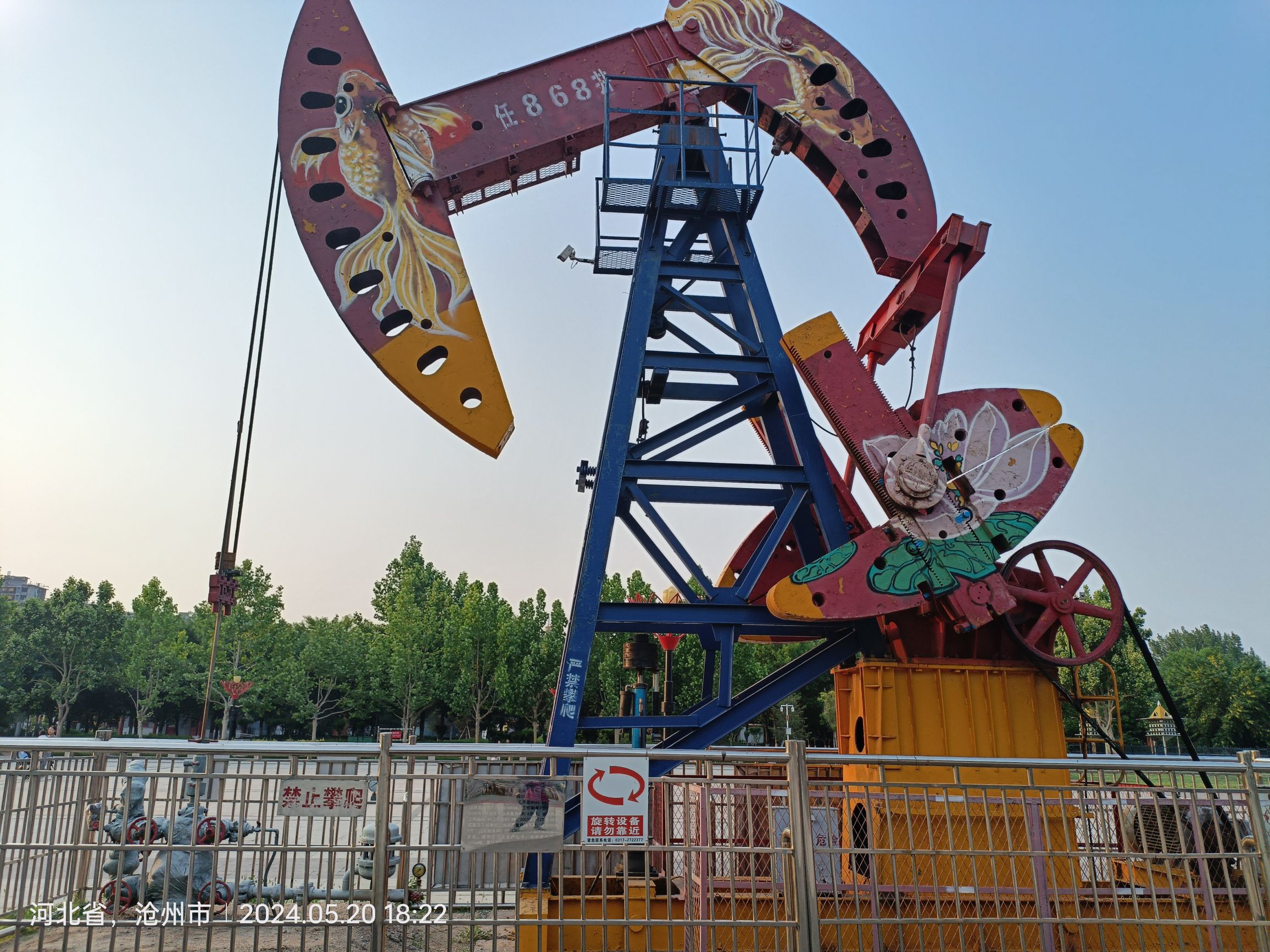 雁翎公园旅行图片 2