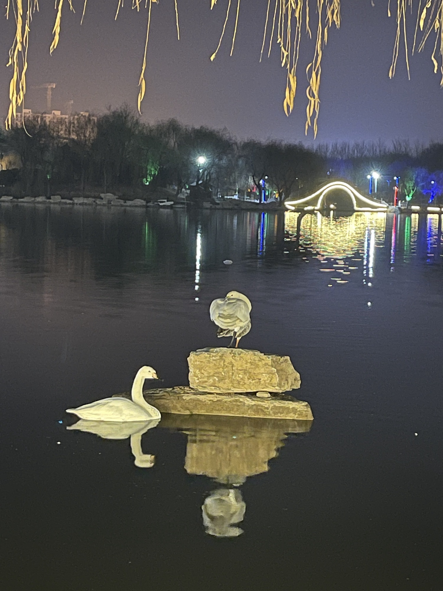 赵王欢乐不夜城旅行图片 2