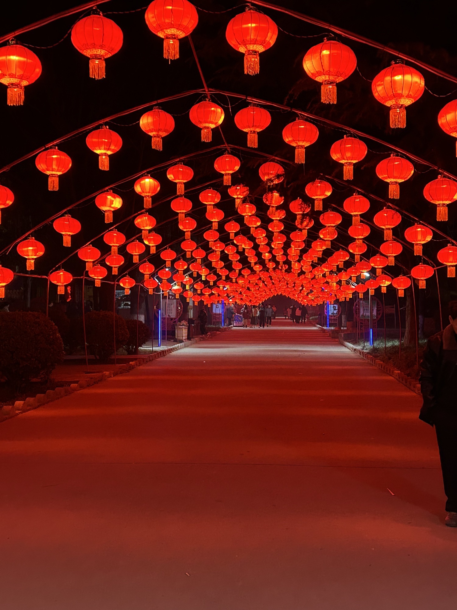 金水湖公园旅行图片 3