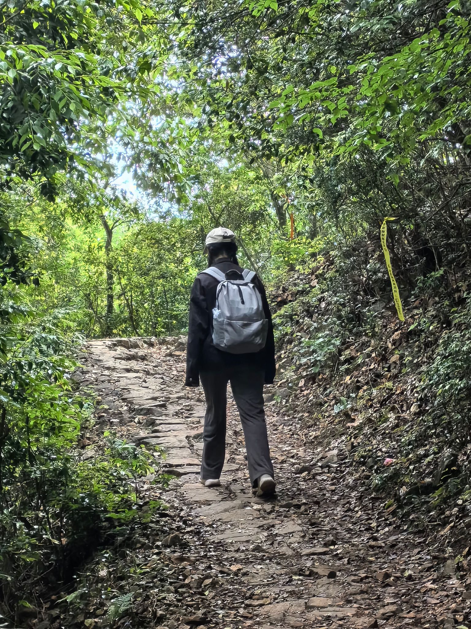 公盂景区旅行图片 3